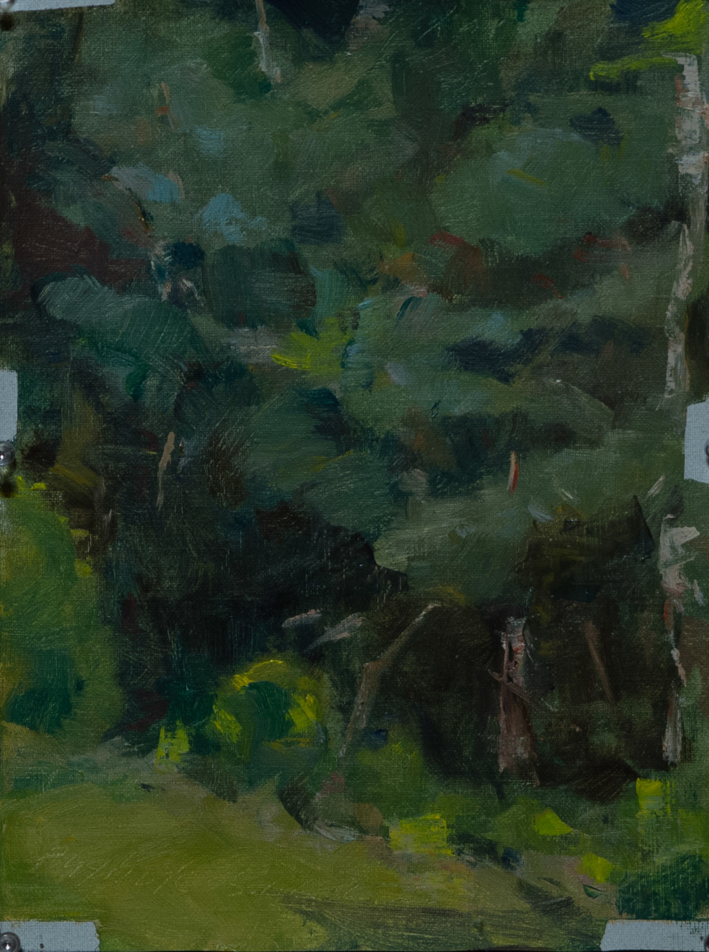 Trees