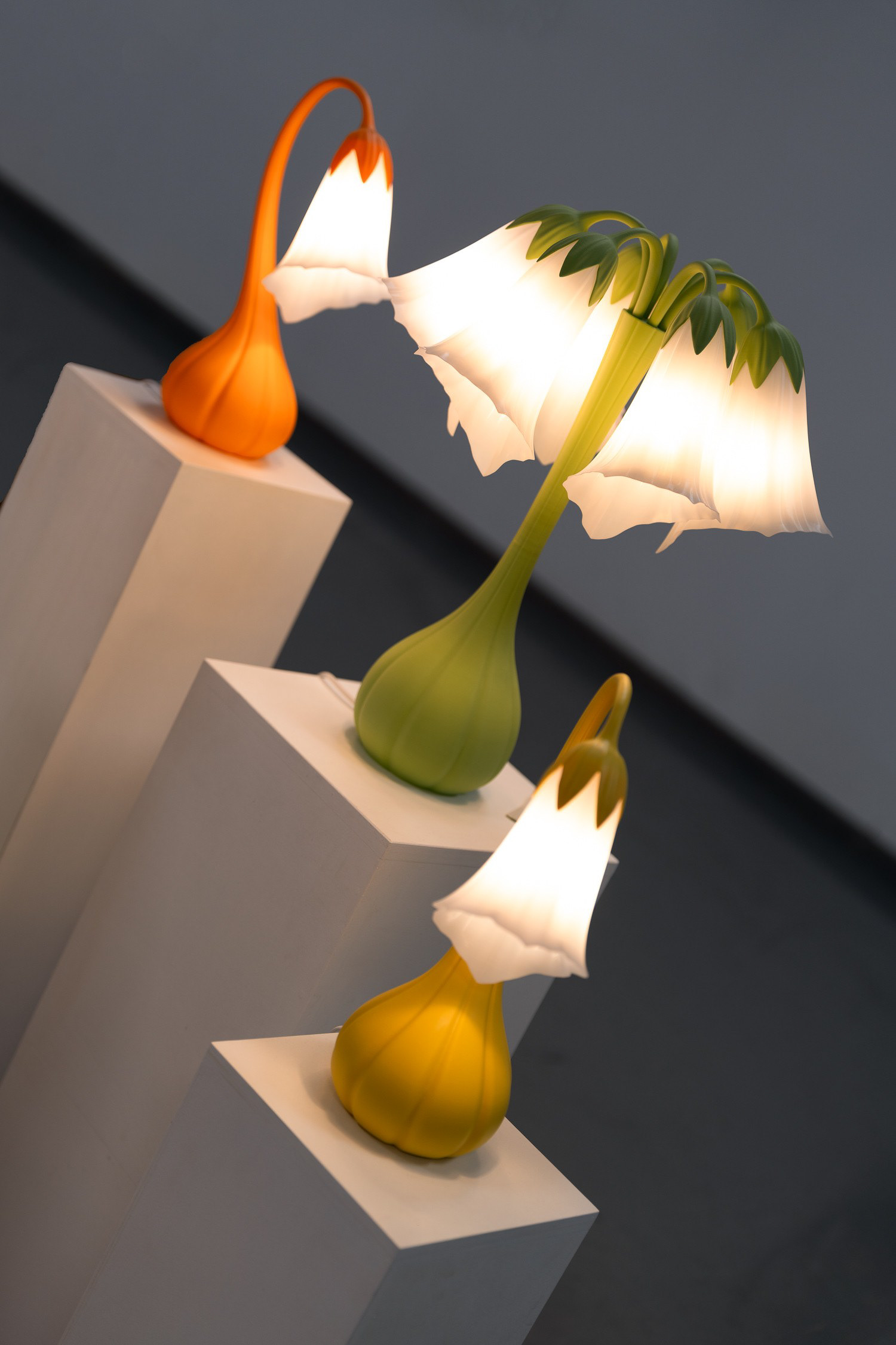 foto gemaakt door Anniek Snoeijs