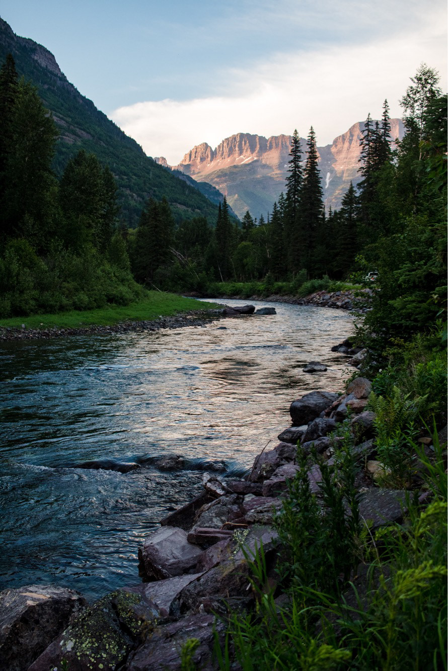 Glacier National Park, Montana. July 2018