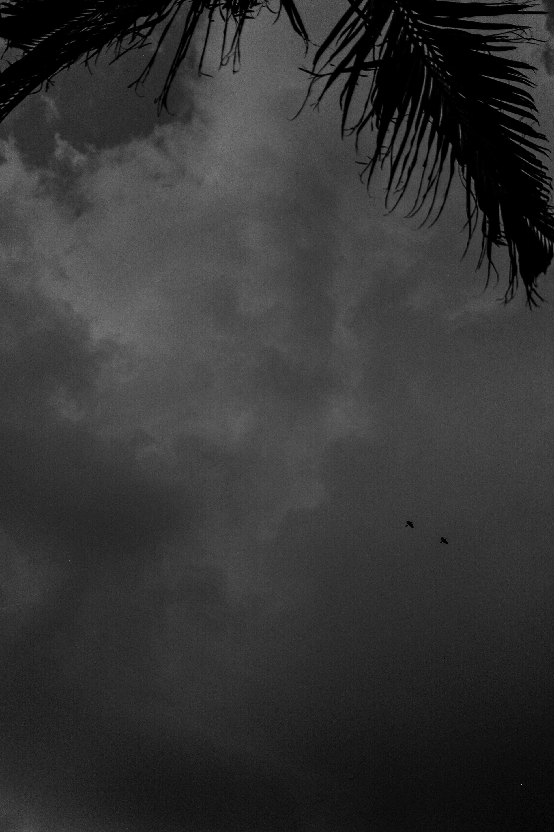 March 26, 2025. Jupiter Florida