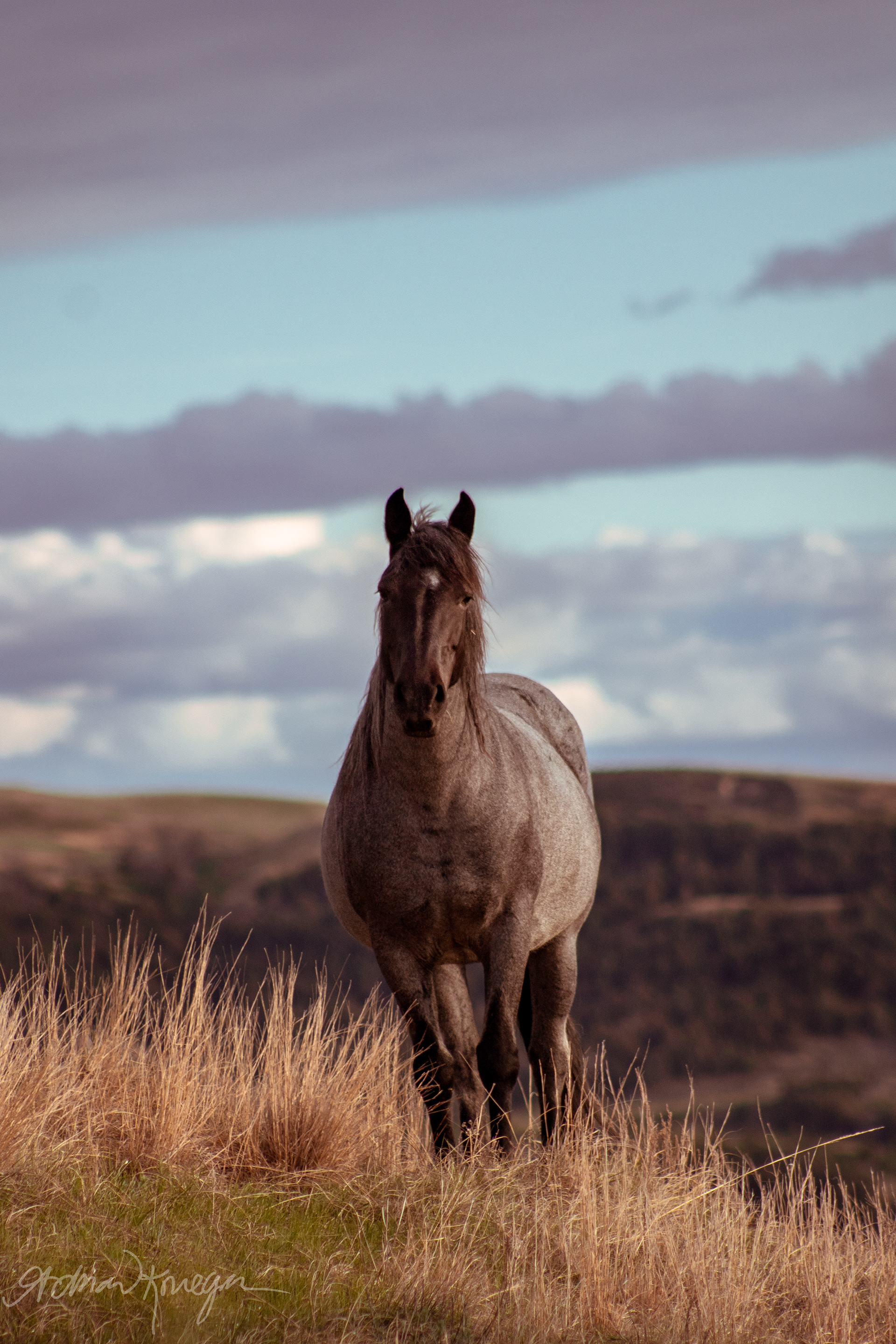Theodore Roosevelt National Park, North Dakota. May 2019