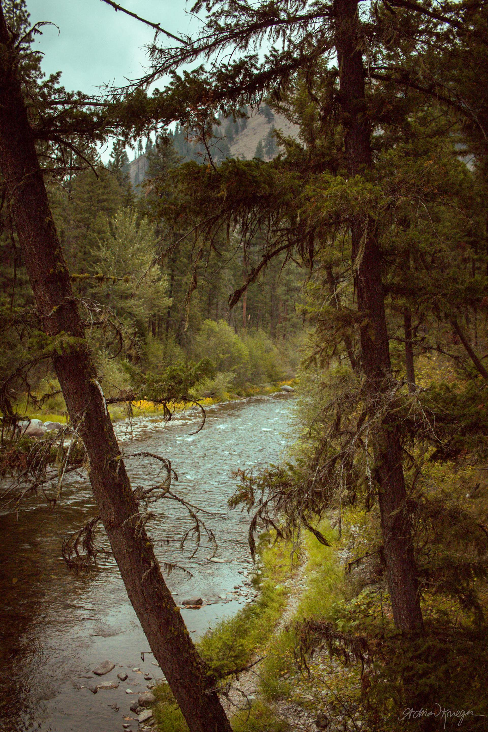 Rock Creek, Montana. Fall 2021