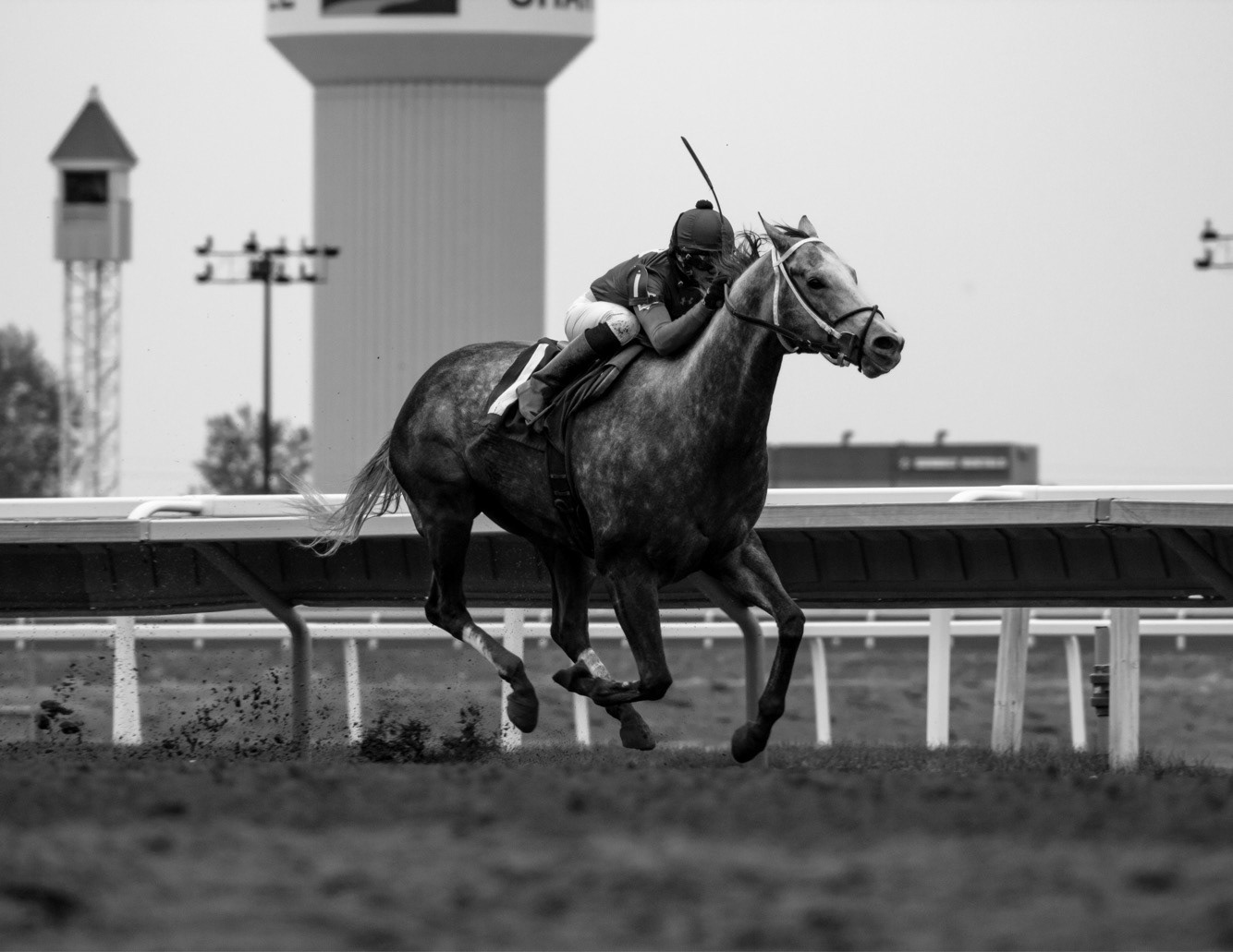 Canterbury Park. Shakopee, Minnesota. May 2018