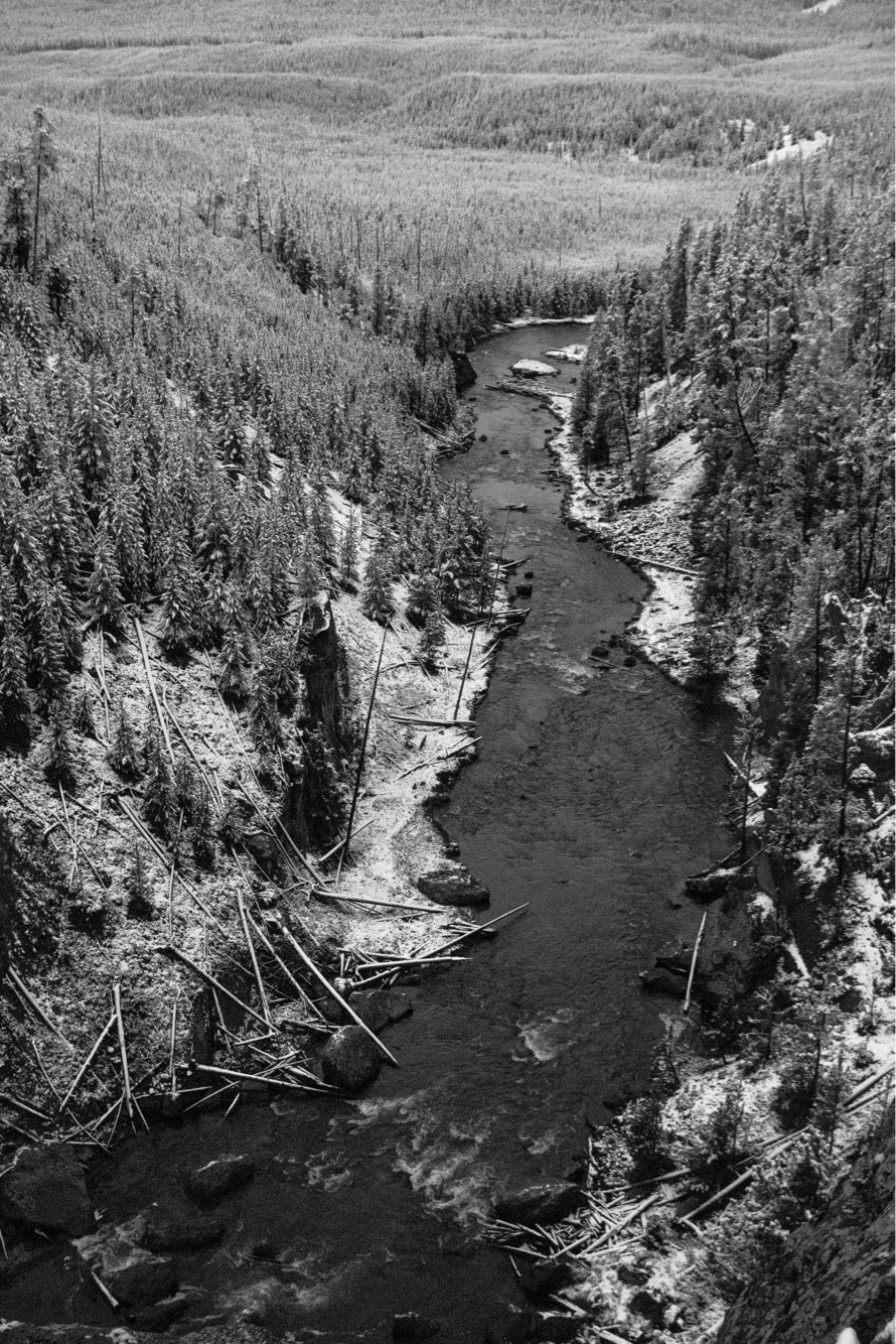 The Yellowstone River running through Yellowstone National Park, Wyoming. October 2018