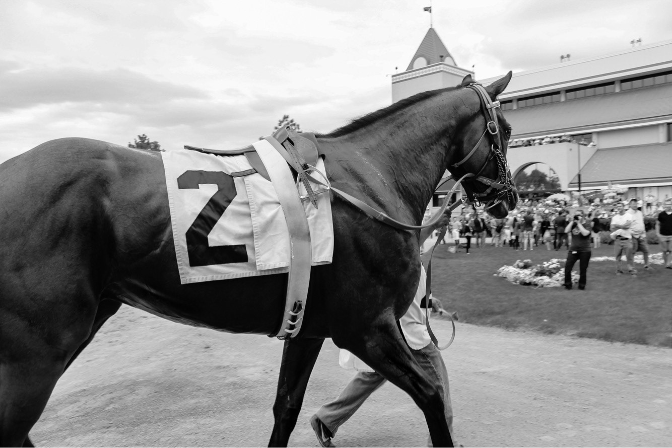 Canterbury Park. Shakopee, Minnesota. June 2015