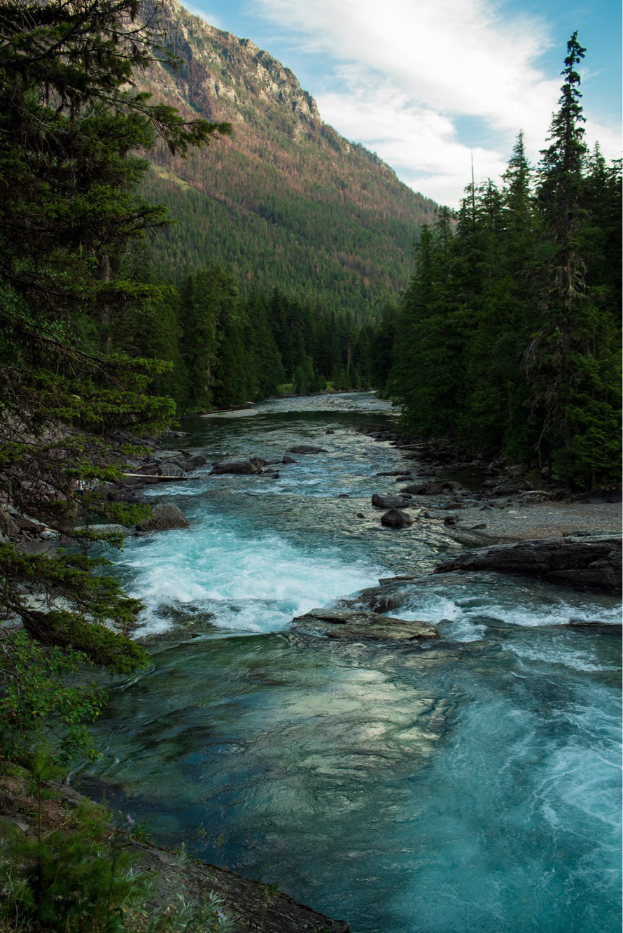 Glacier National Park, Montana. July 2018