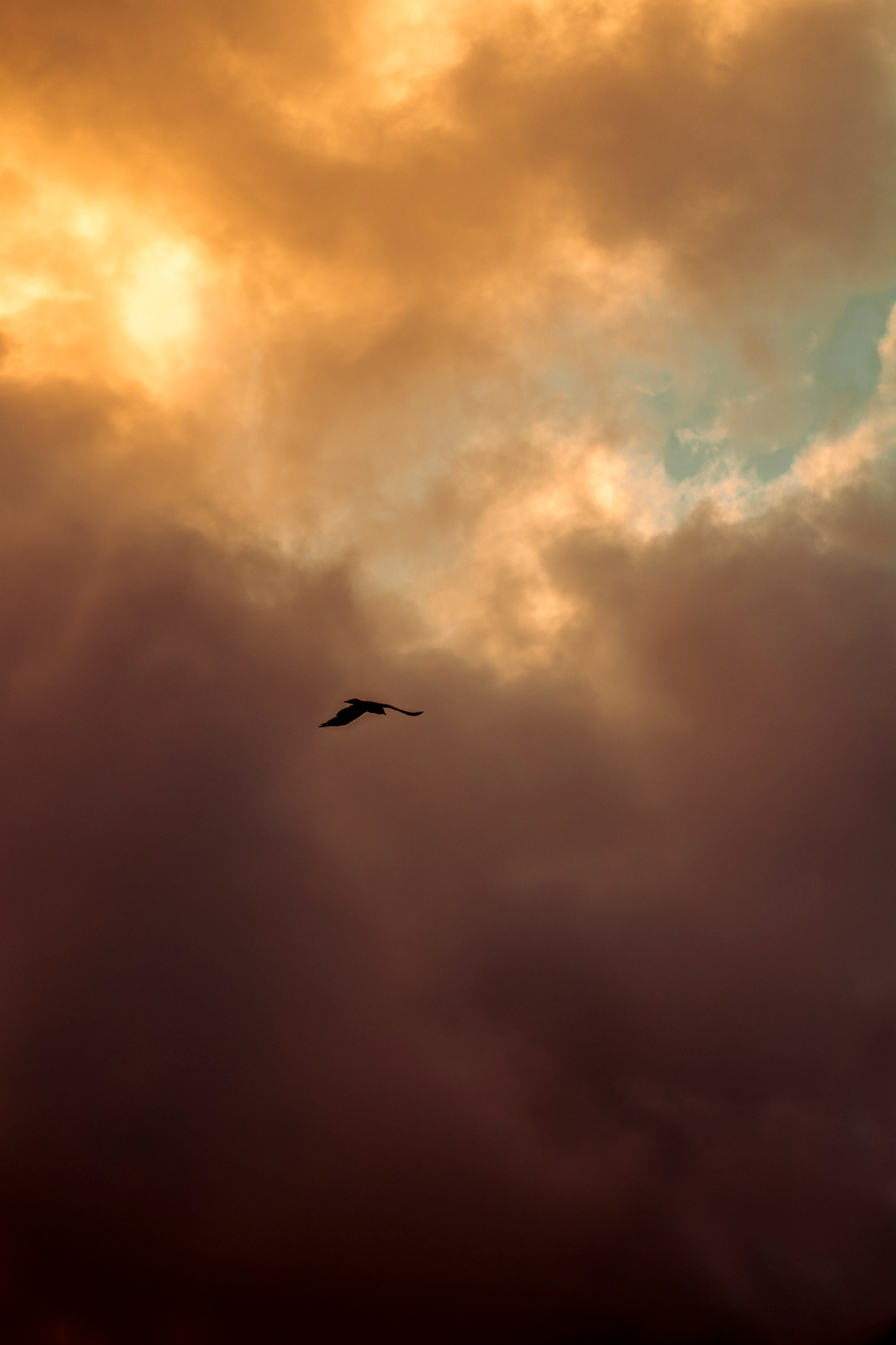 Sunset on June 20, 2024. Jupiter, Florida
