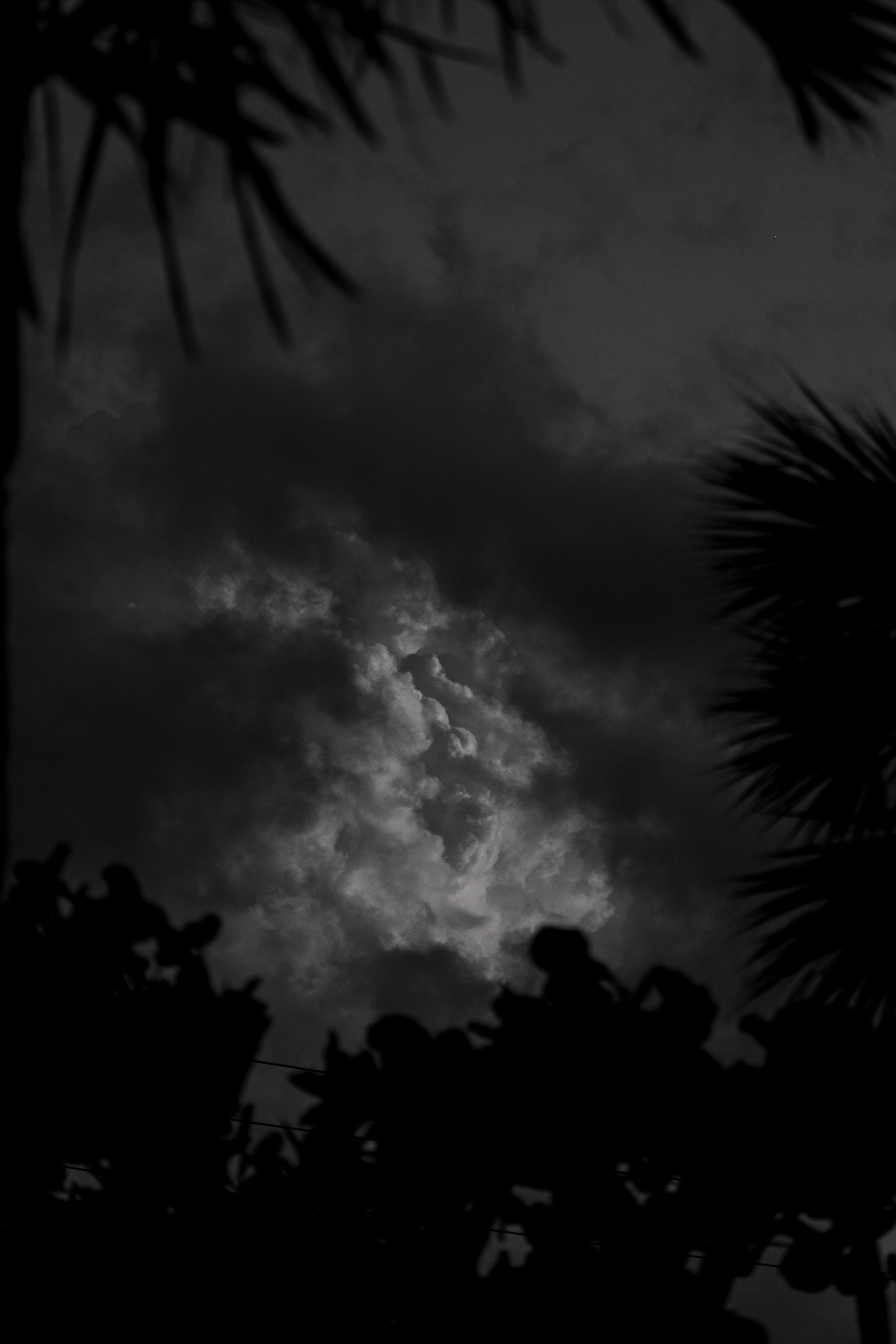 March 26, 2025. Jupiter Florida