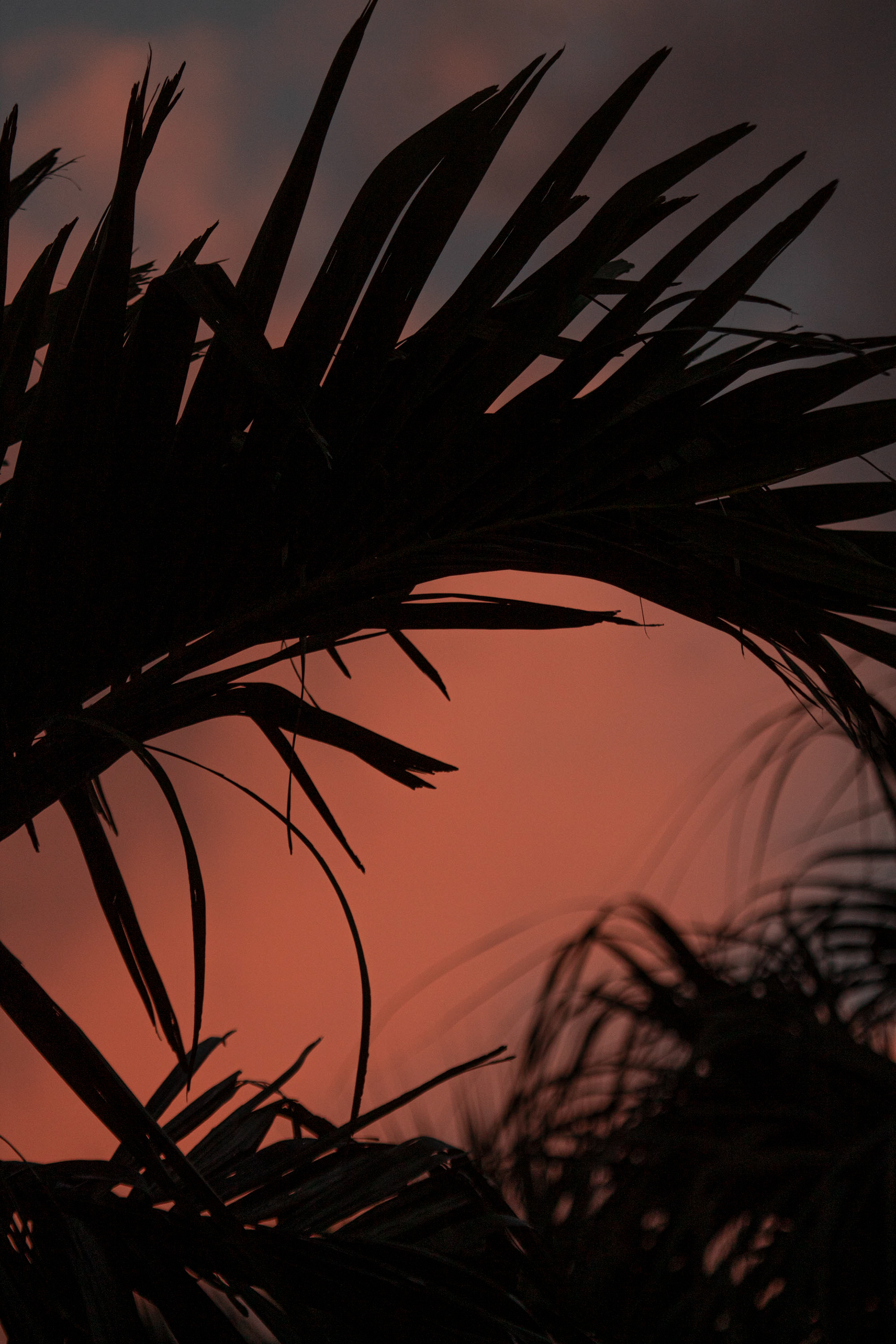 Sunset on June 20, 2024. Jupiter, Florida
