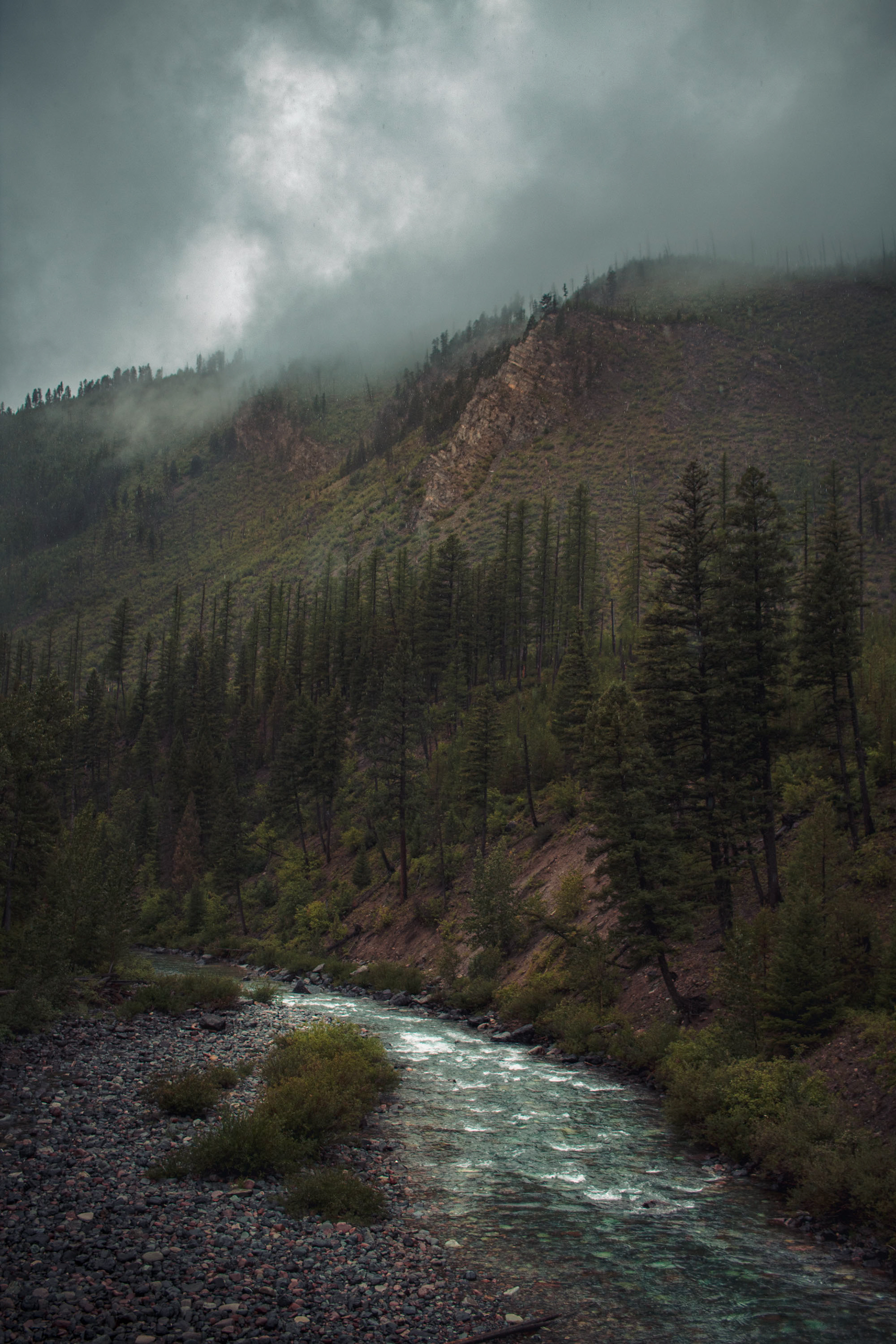 East Fork of the Blackfoot River, Montana, 2019