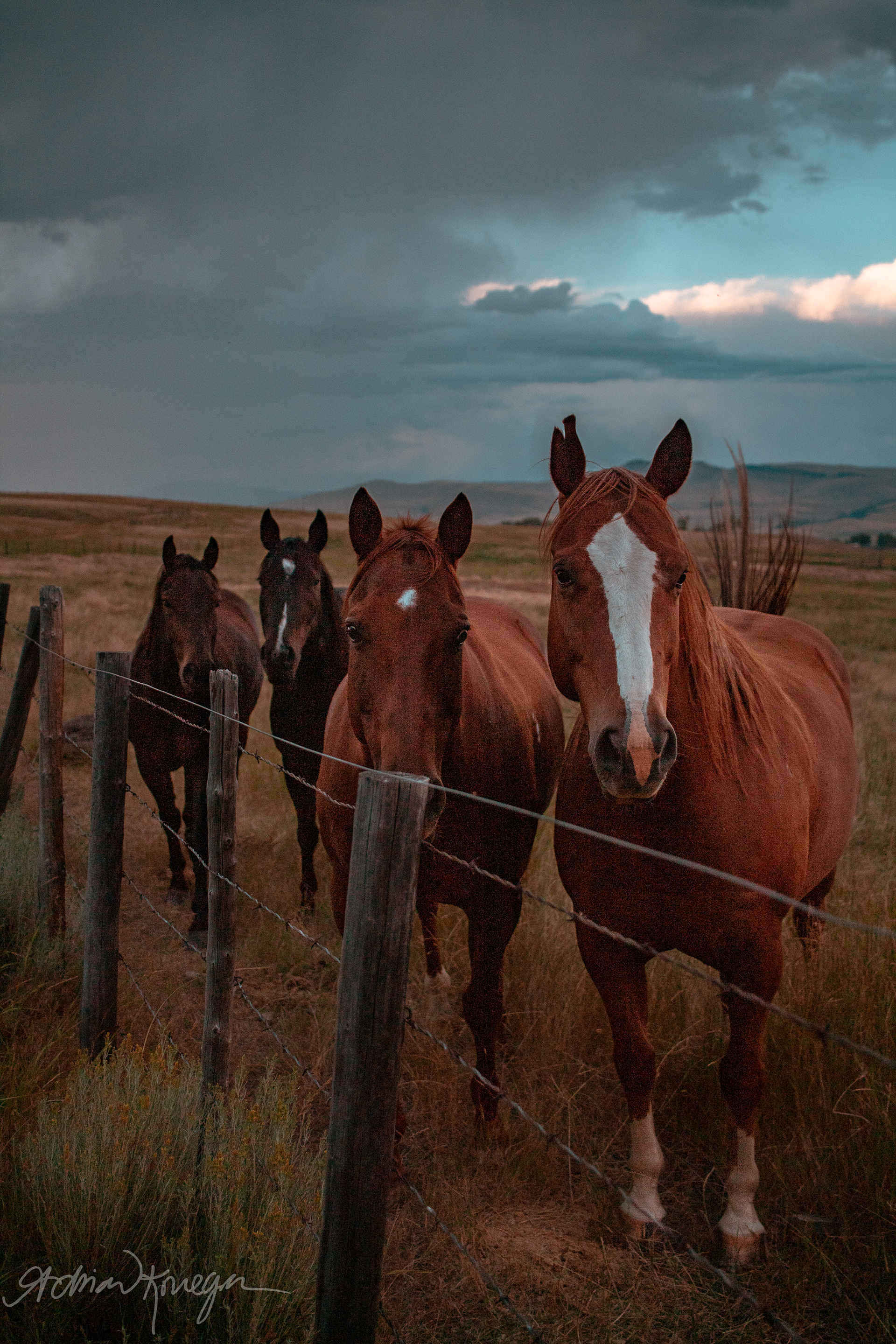 Deer Lodge, Montana. August 6, 2020
