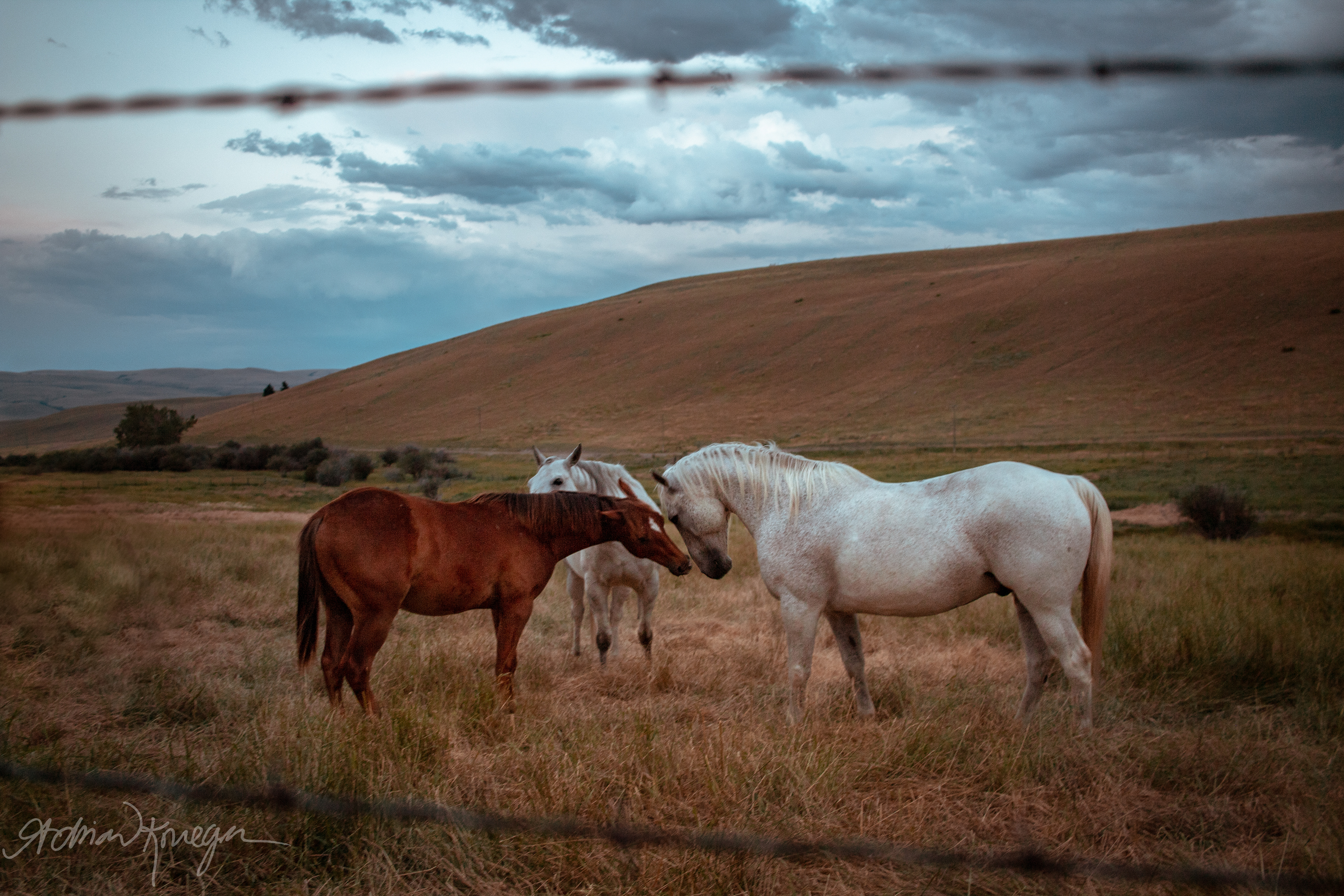 Deer Lodge, Montana. August 6, 2020