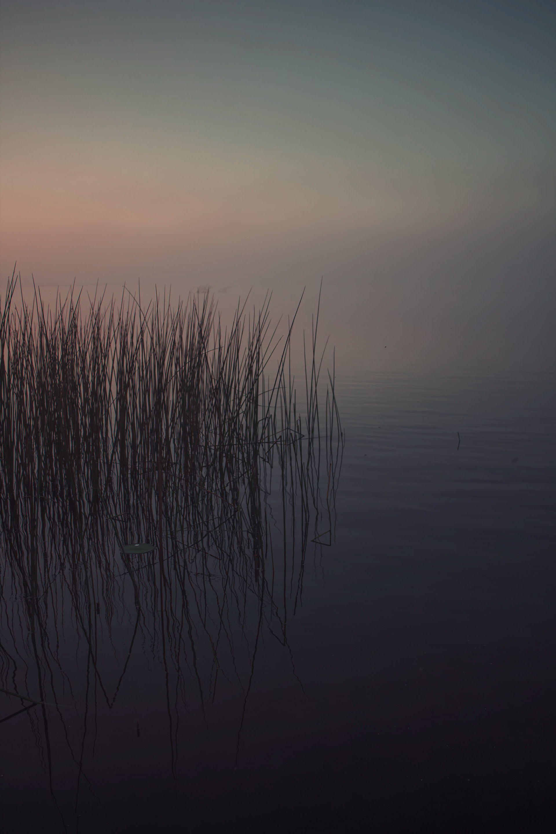 Lake Istokpoga. Lorida, Florida. February 25, 2022