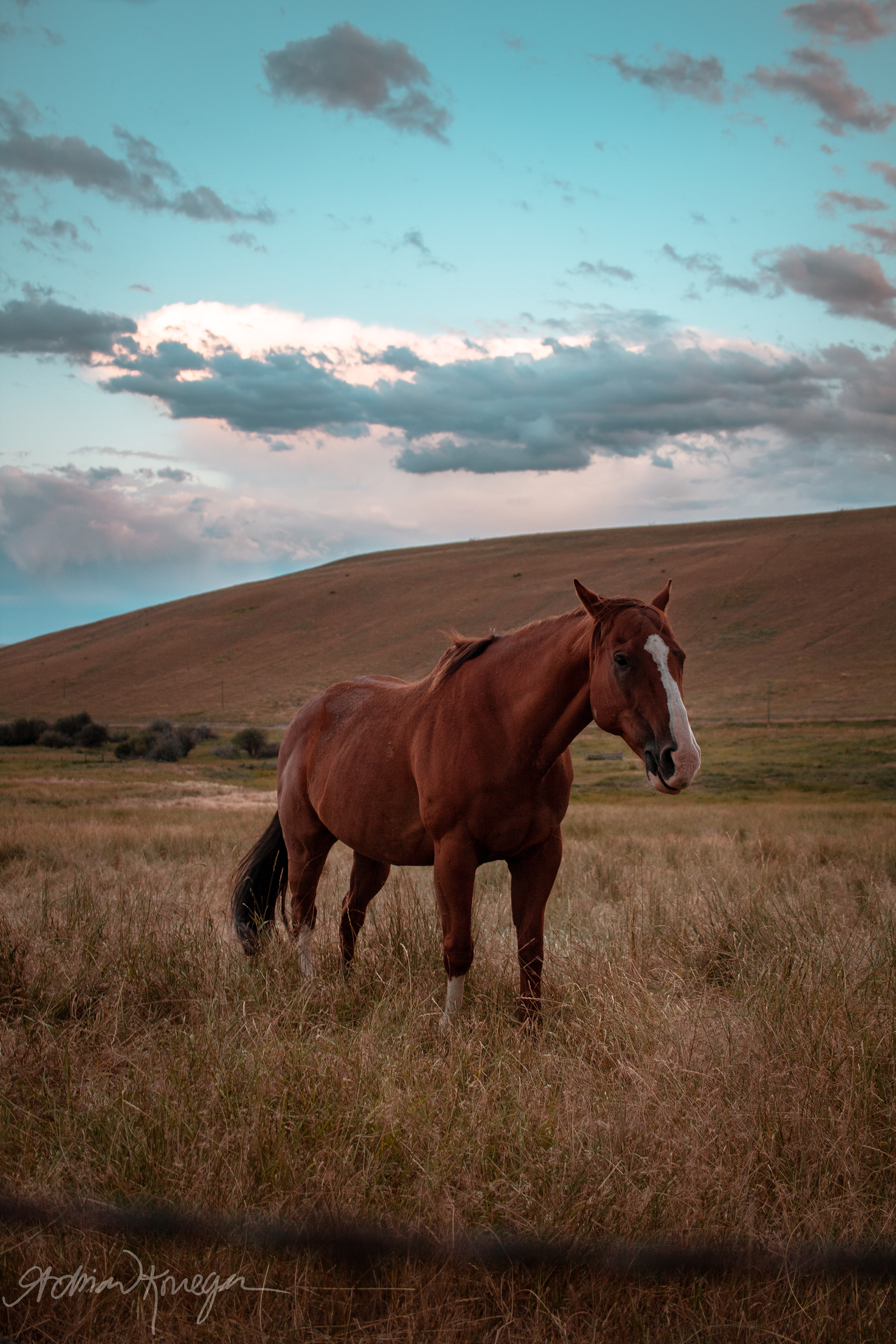 Deer Lodge, Montana. August 6, 2020