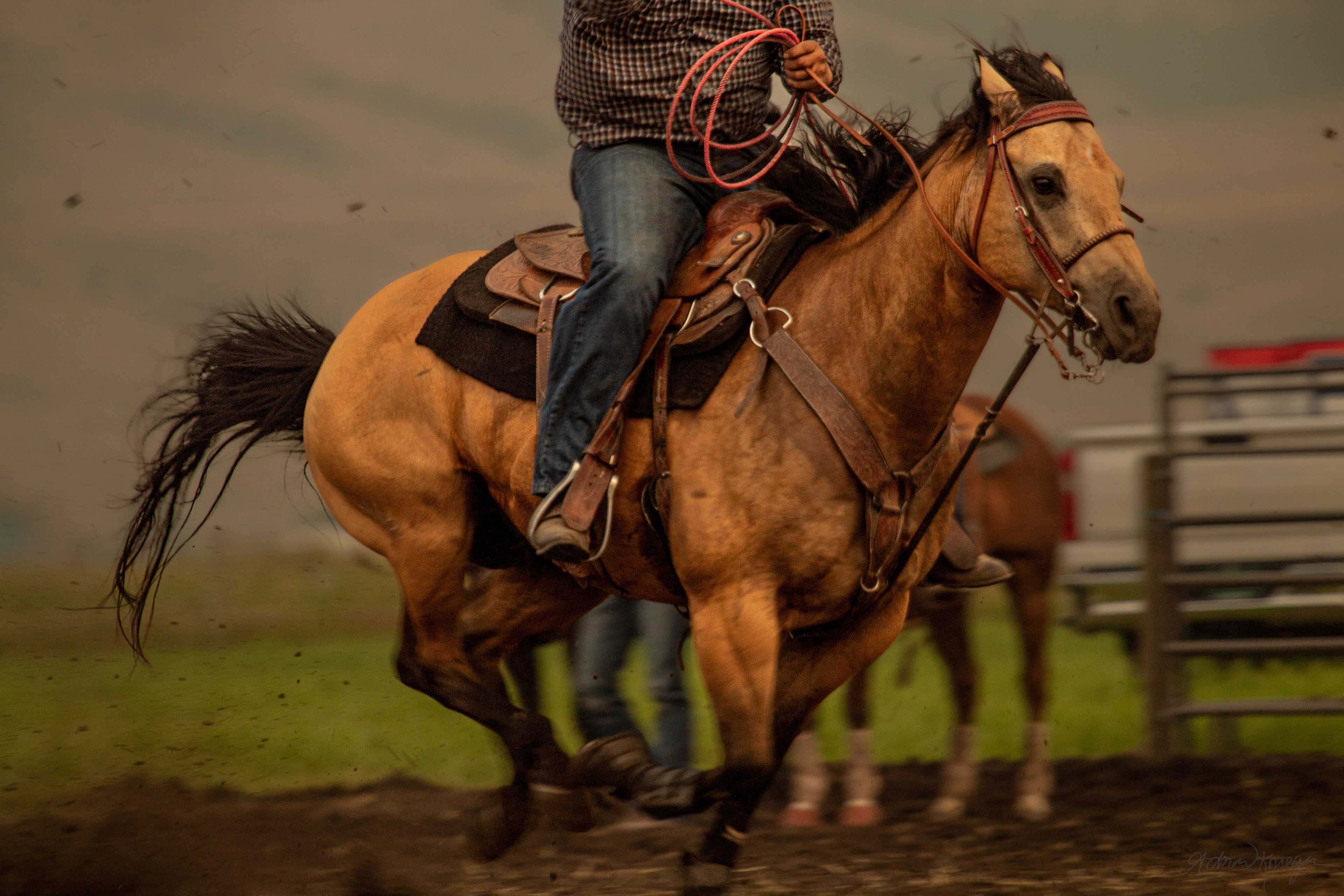 Rock Creek Cattle Company Rodeo. Racetrack, Montana. July 2021