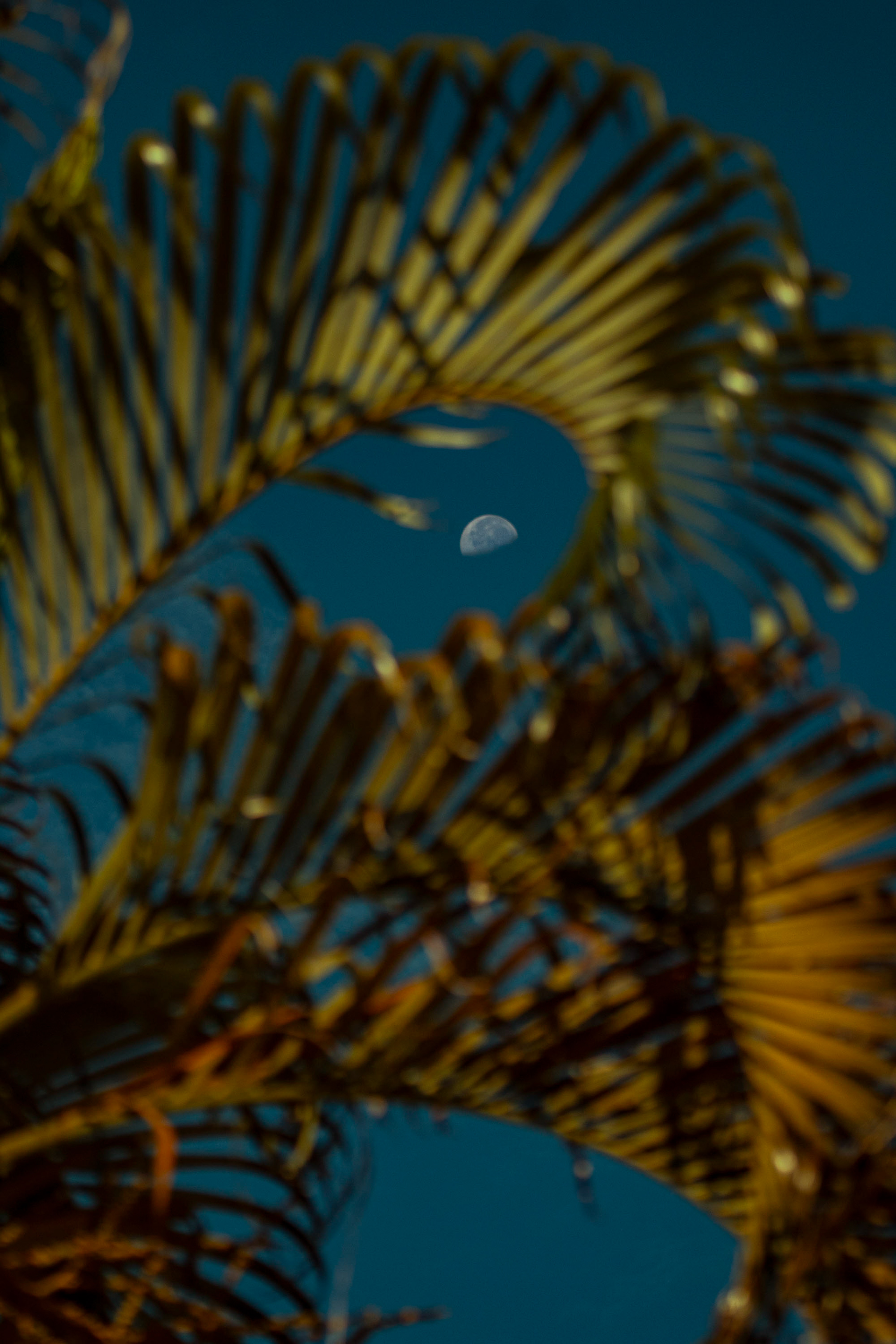 Jupiter, Florida. June 27, 2024