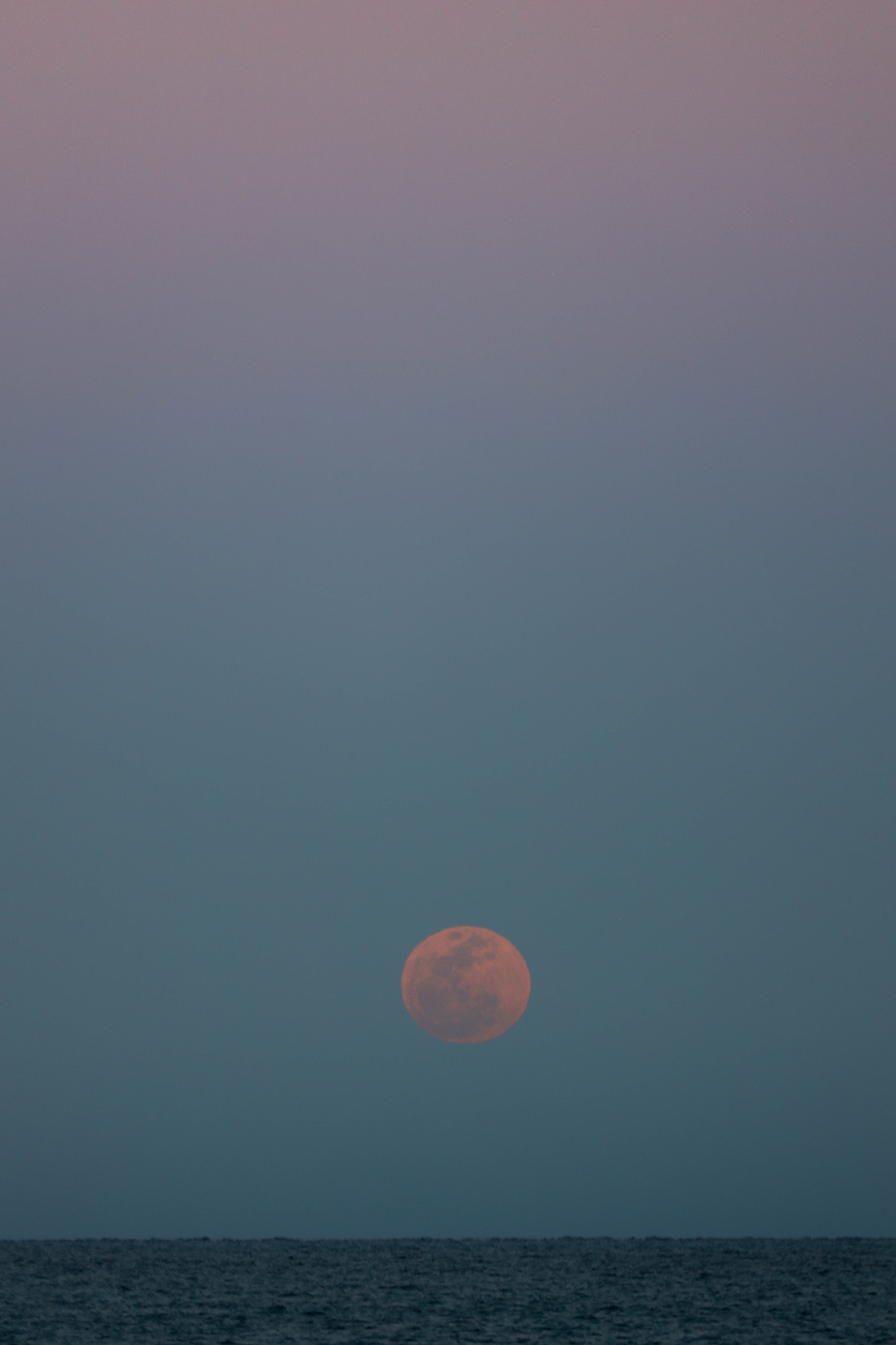 Pink Moon - April 12, 2025. Jupiter, Florida