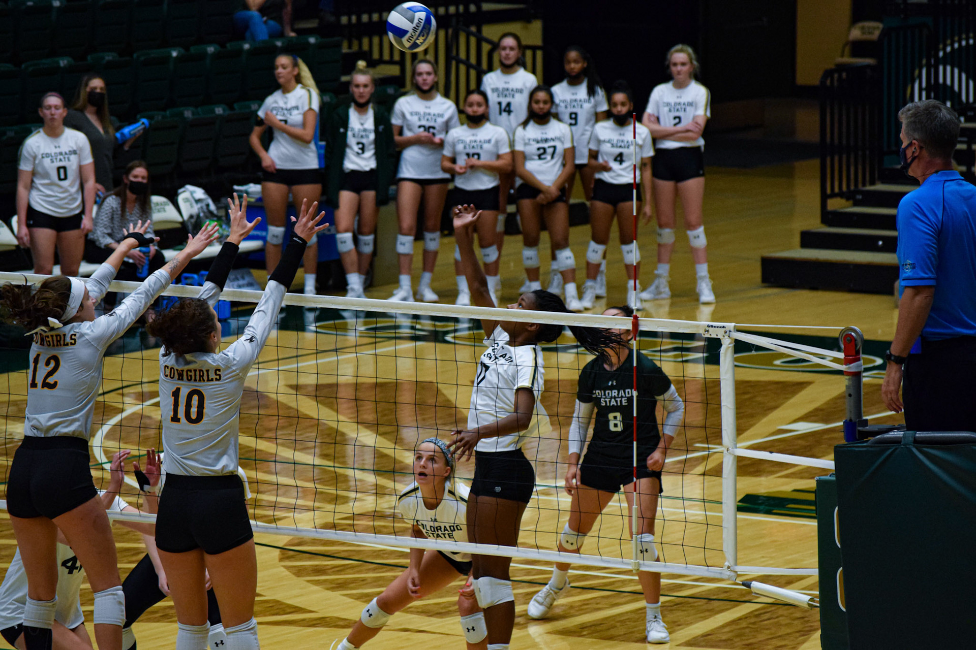 Kennedy Stanford about to hit a ball