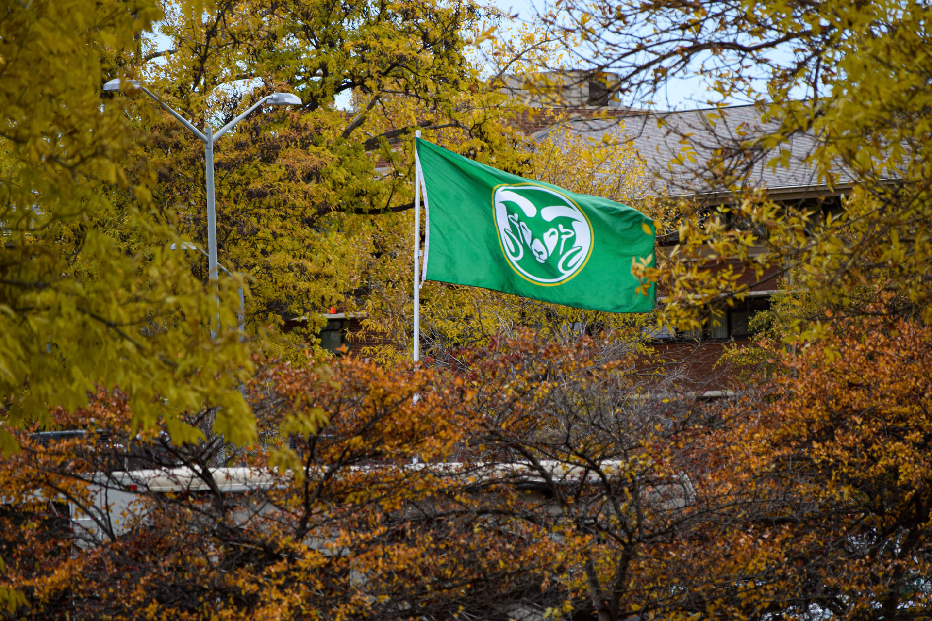 CSU Flag at tailgate for CSU Football