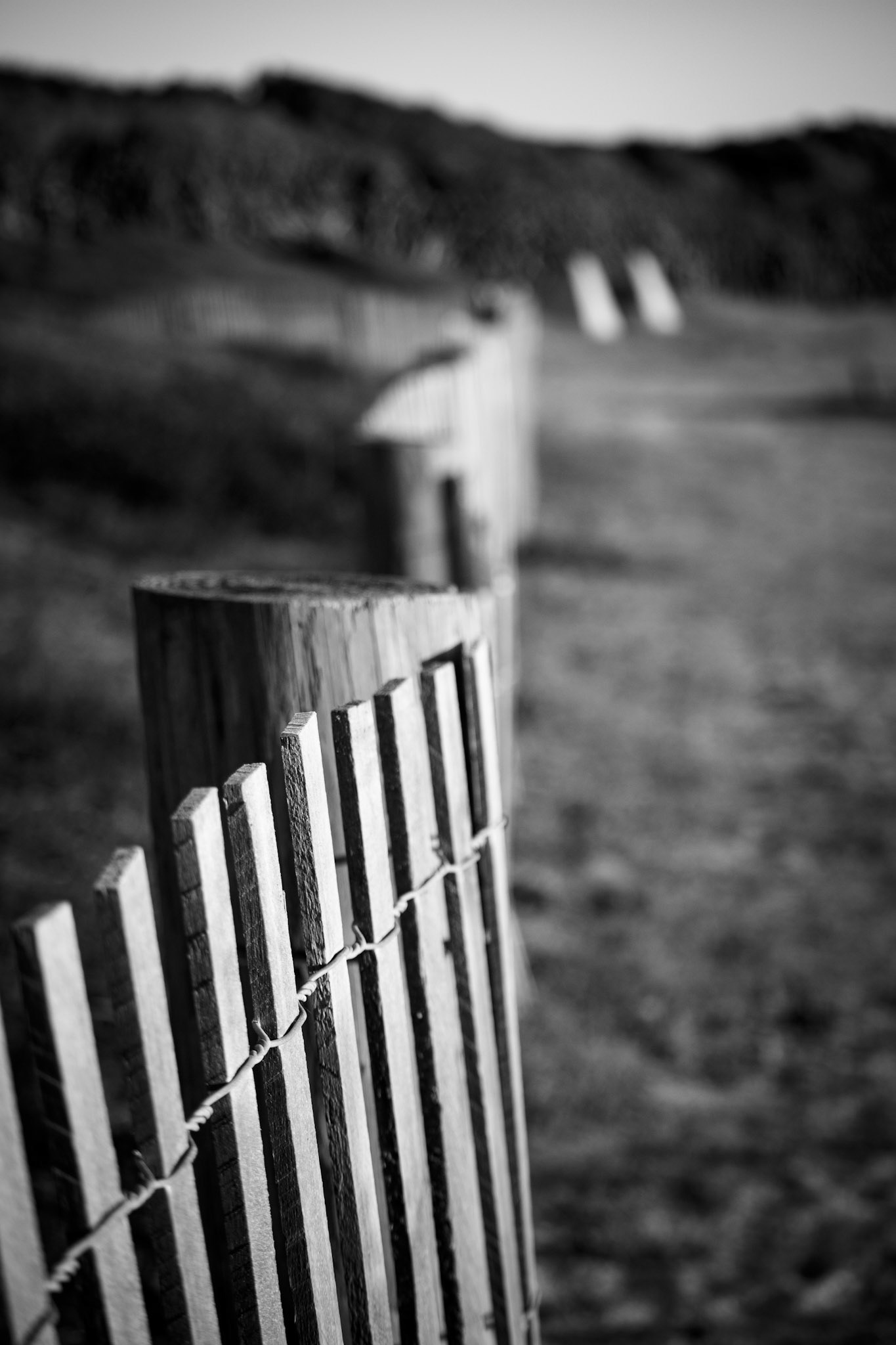 FORT FISHER SUNRISE 60