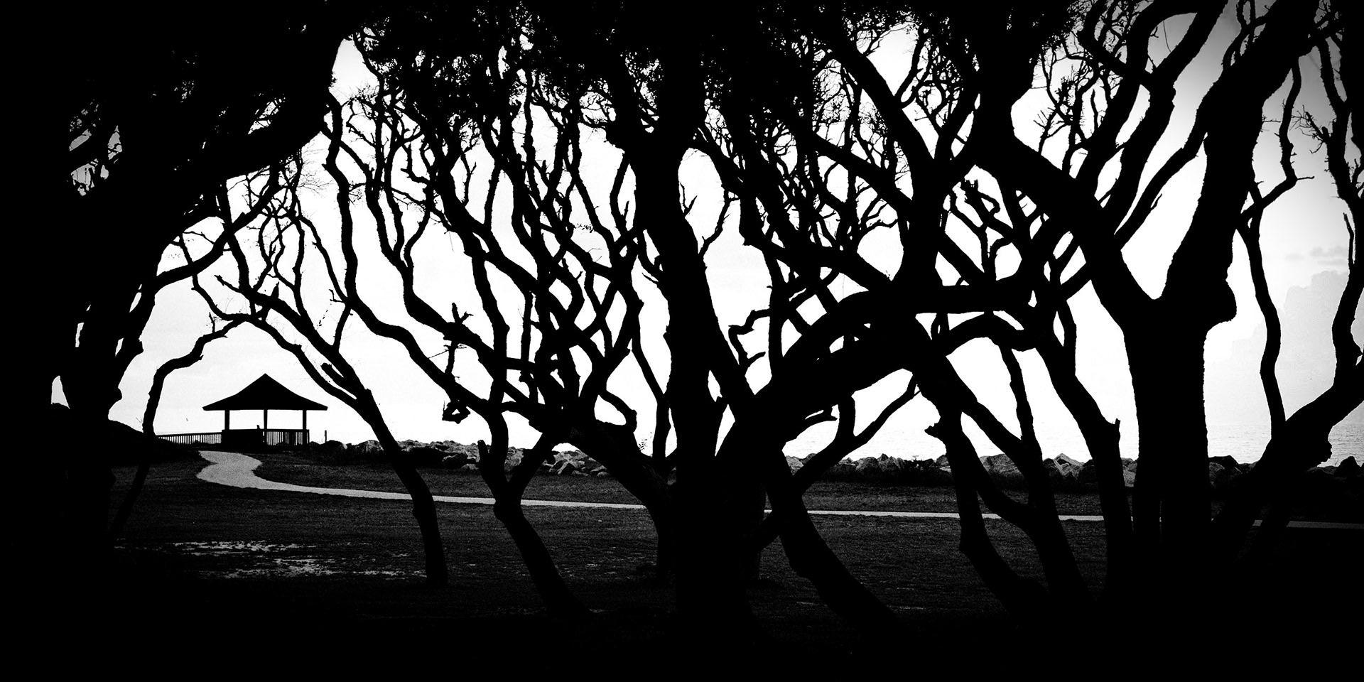 FORT FISHER SUNRISE 12