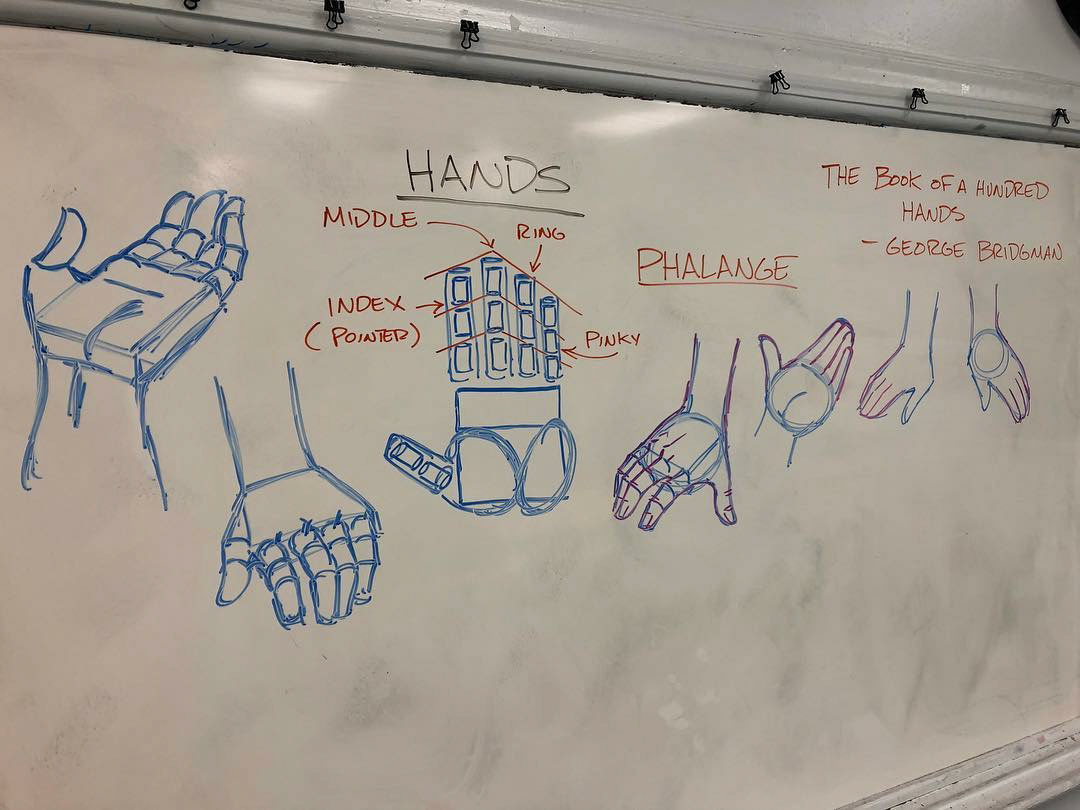 This anatomy of the Hand lesson was a special request of one class.