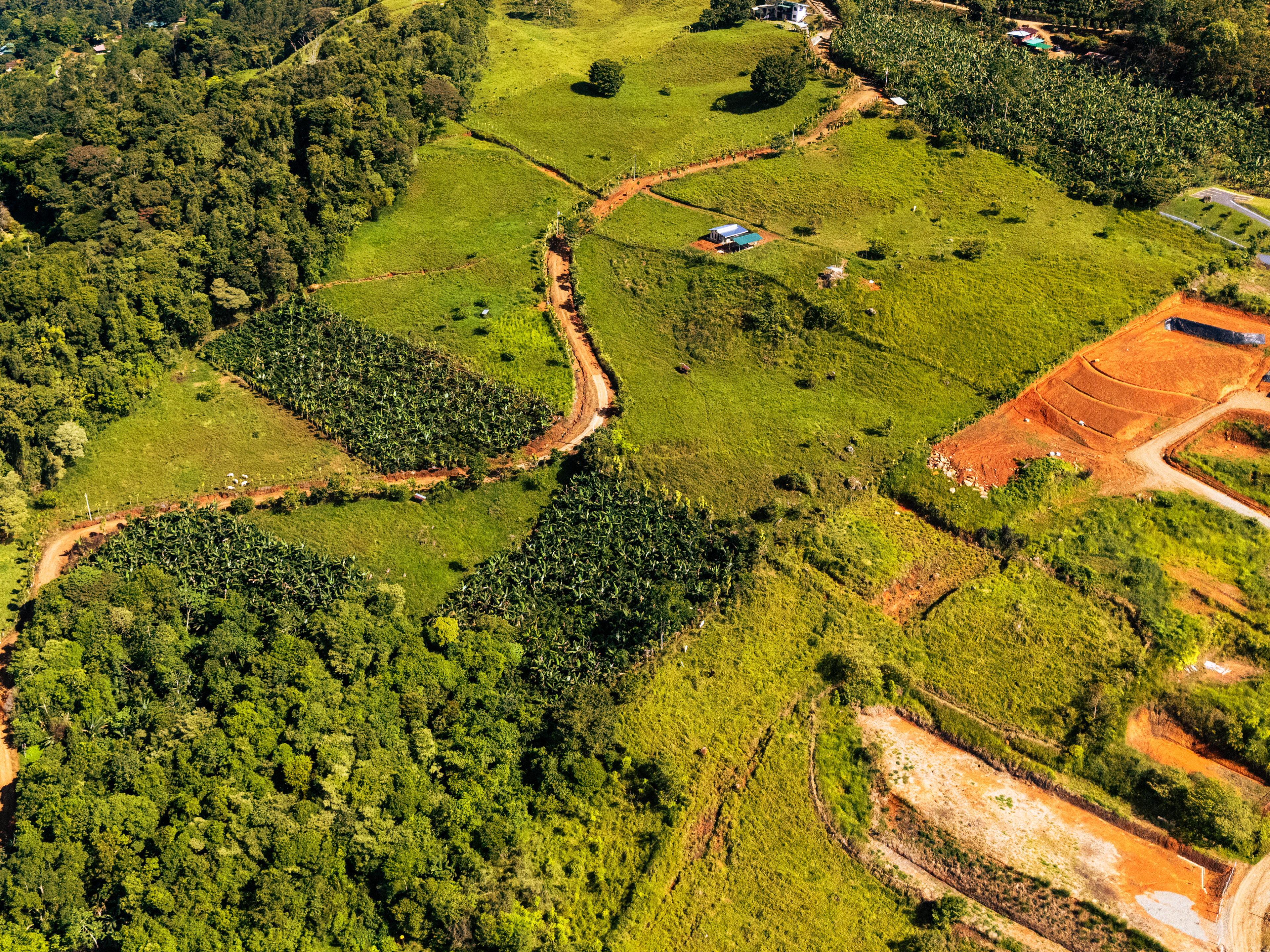 Fotografía AÉREA