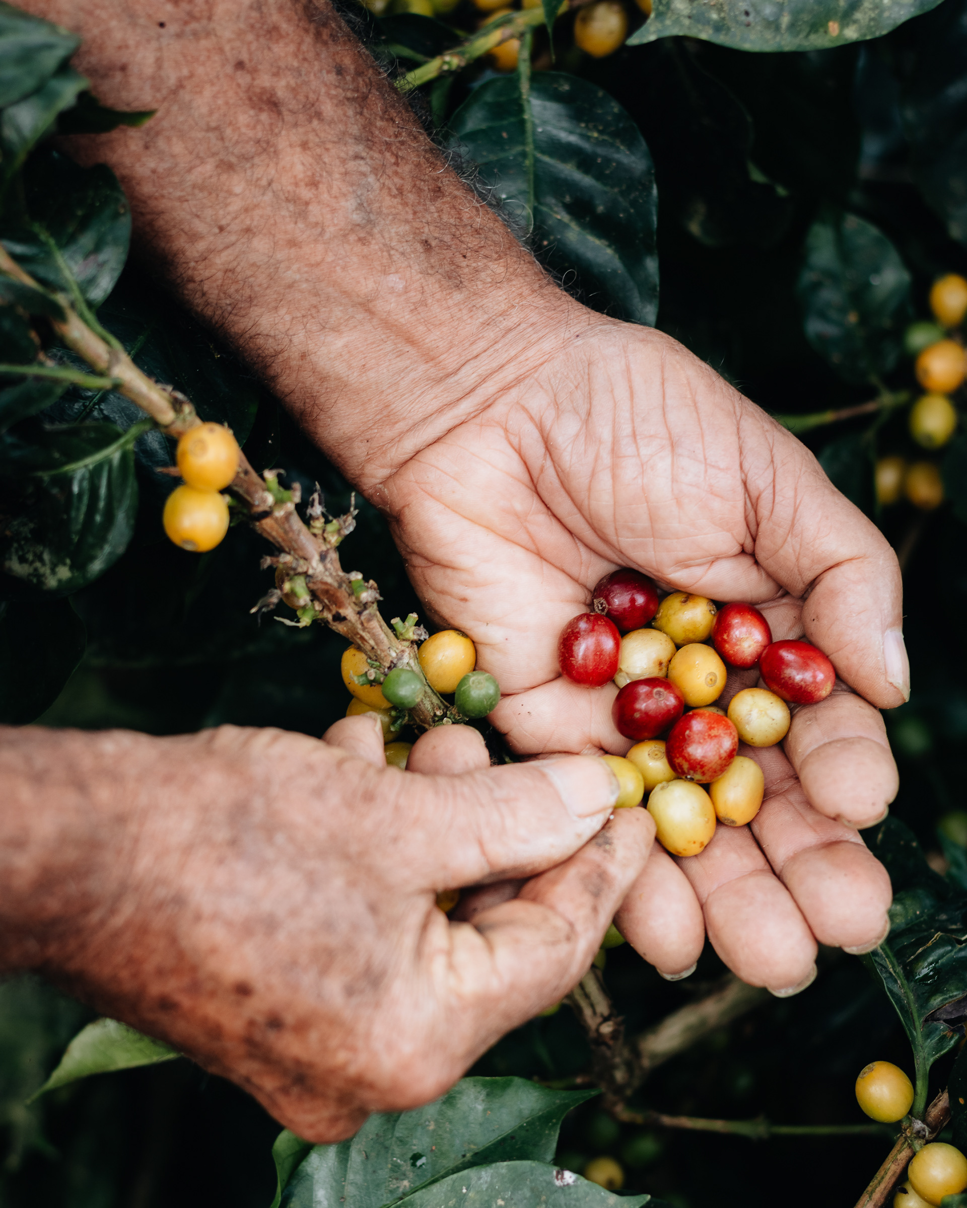 Fotografía Comercial