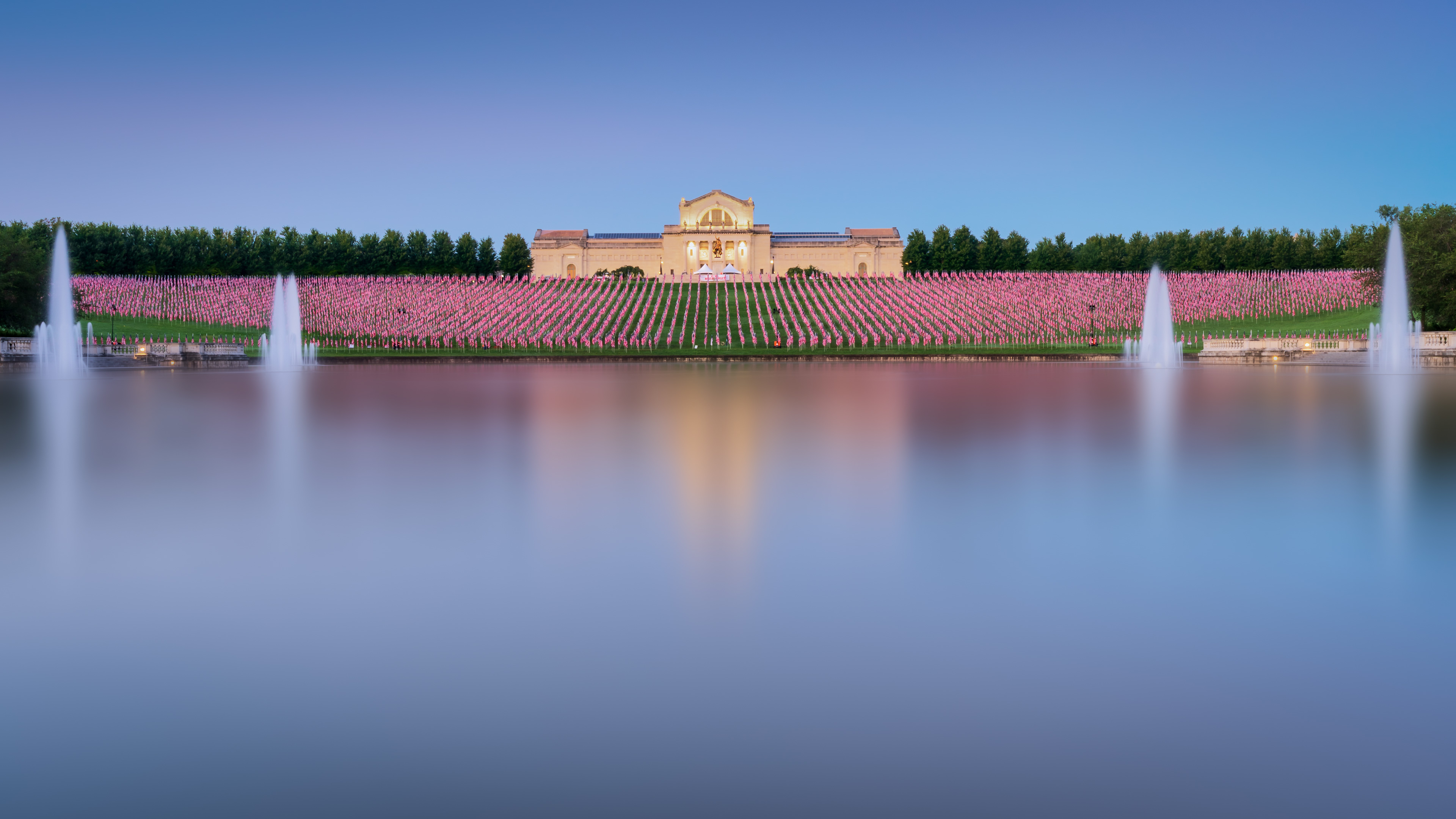 Flags of Valor at Forest Park