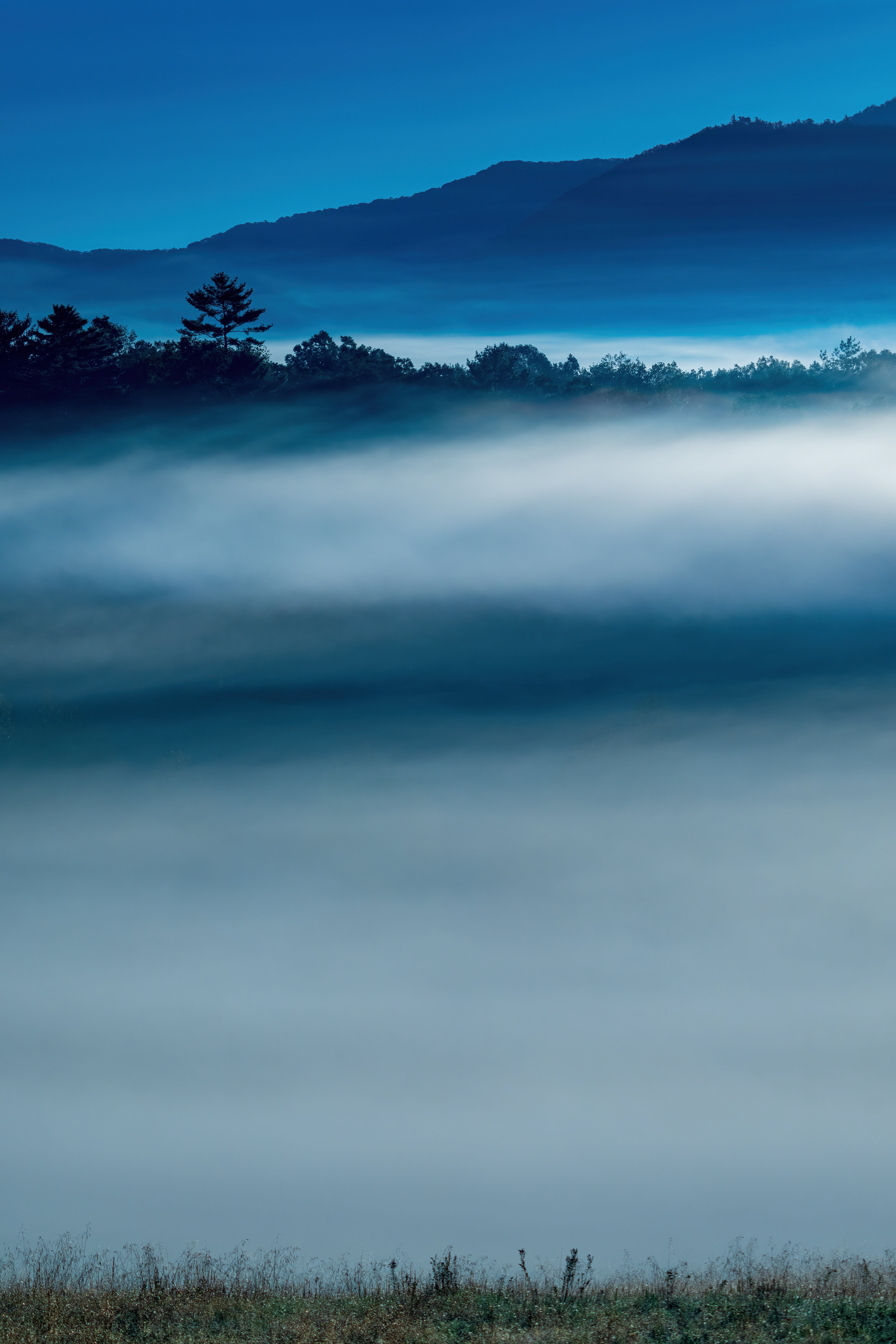 Great Smoky Mountains