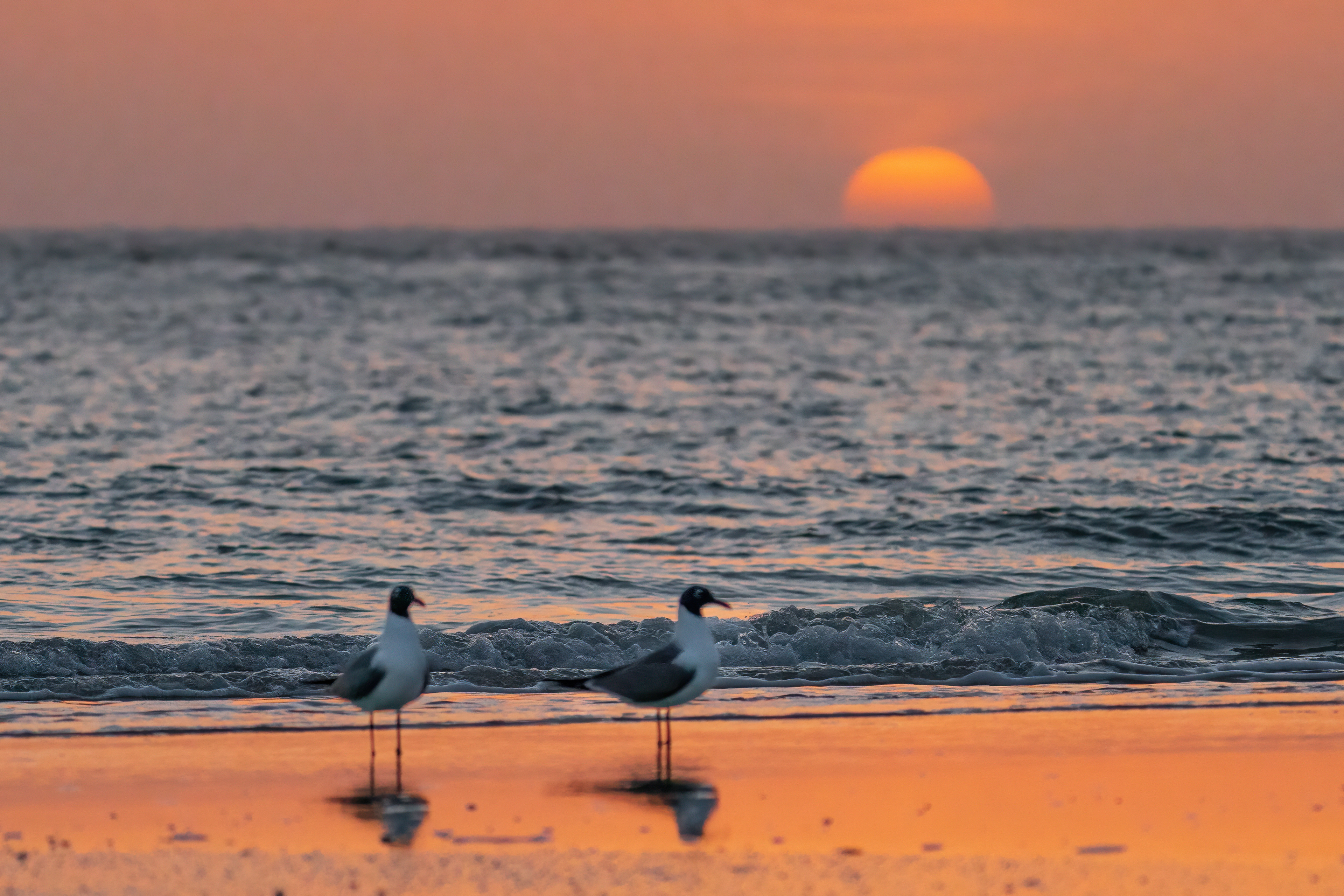Sunrise at San Luis Pass
