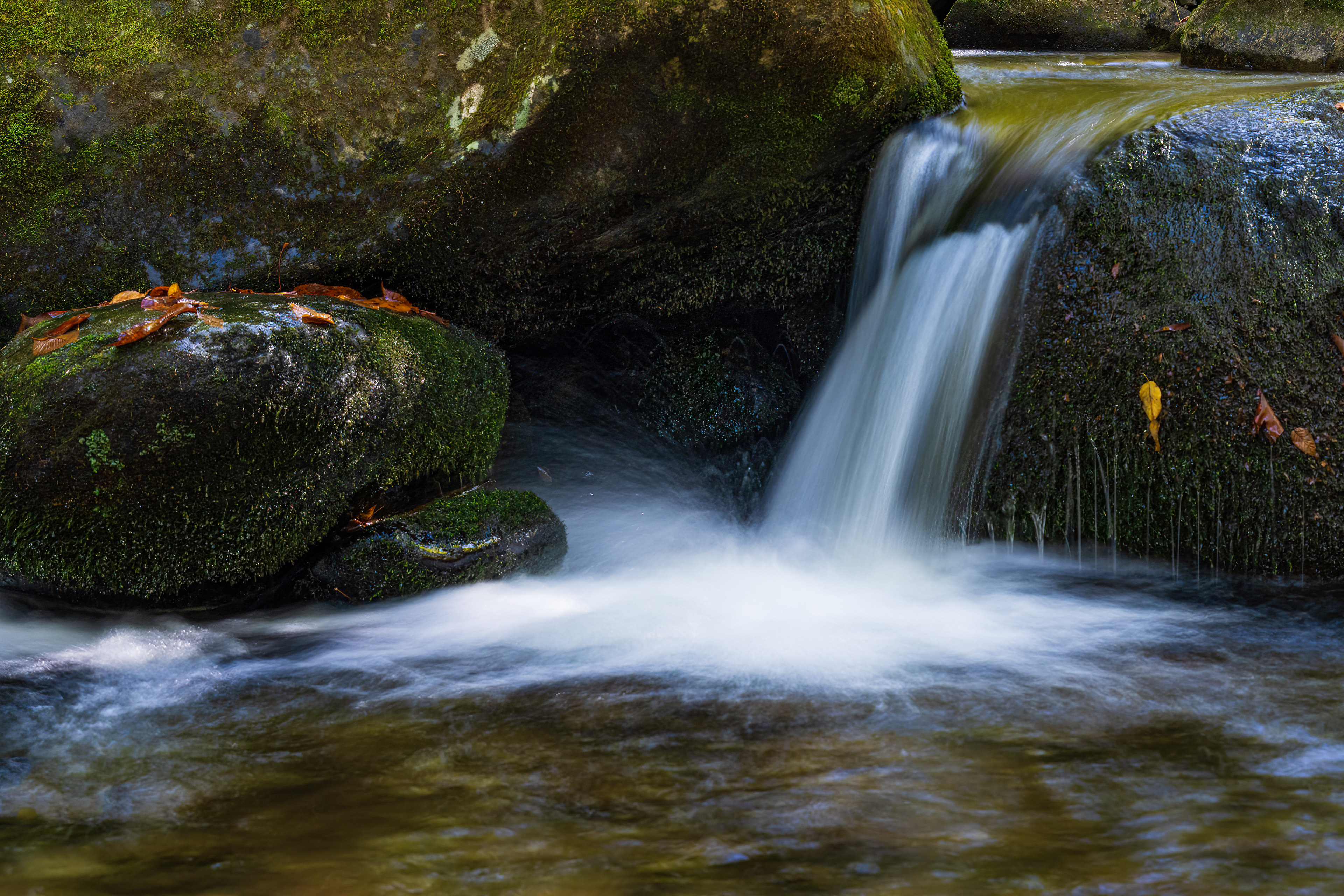 Roaring Fork