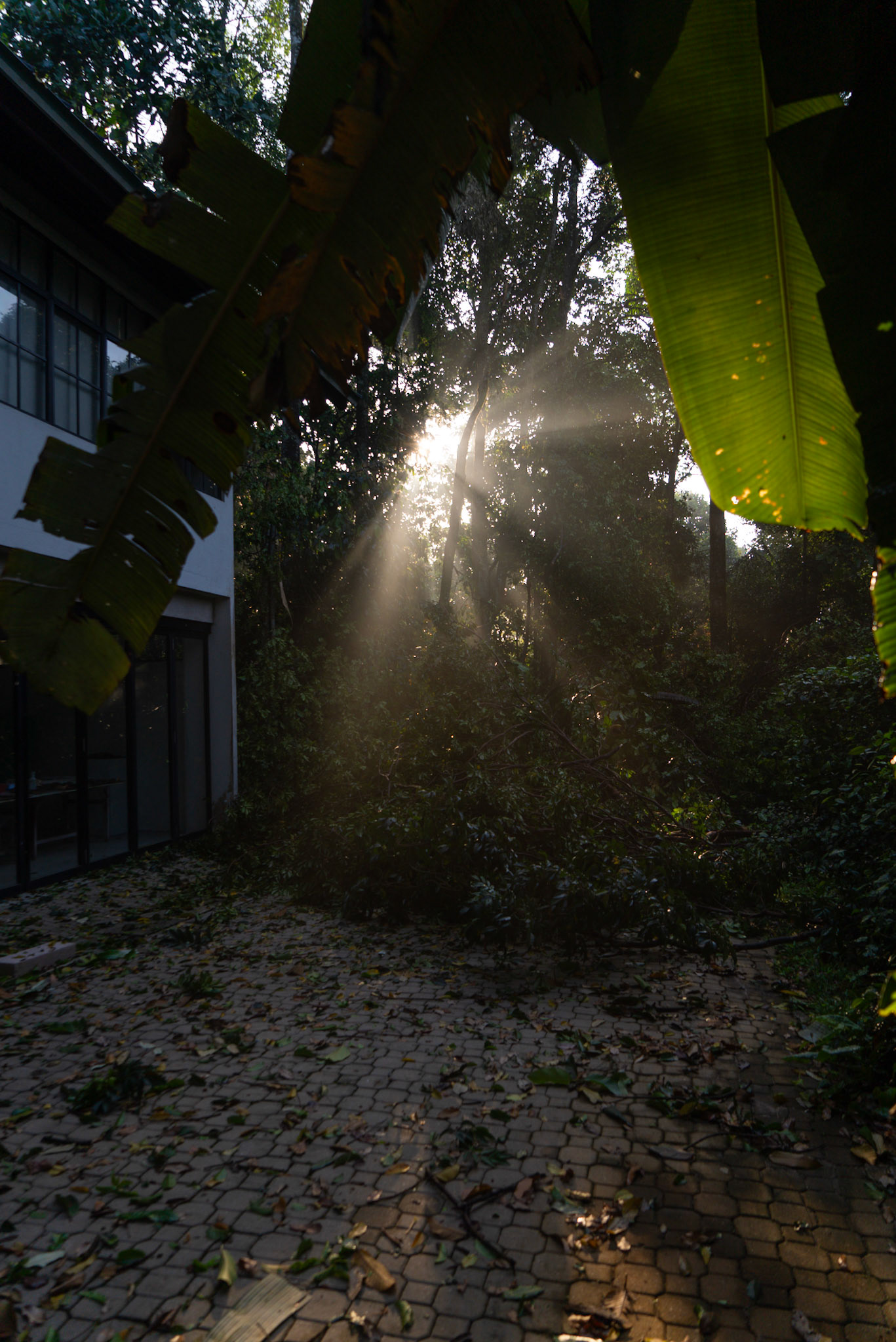 THE DAY AFTER THE STORM