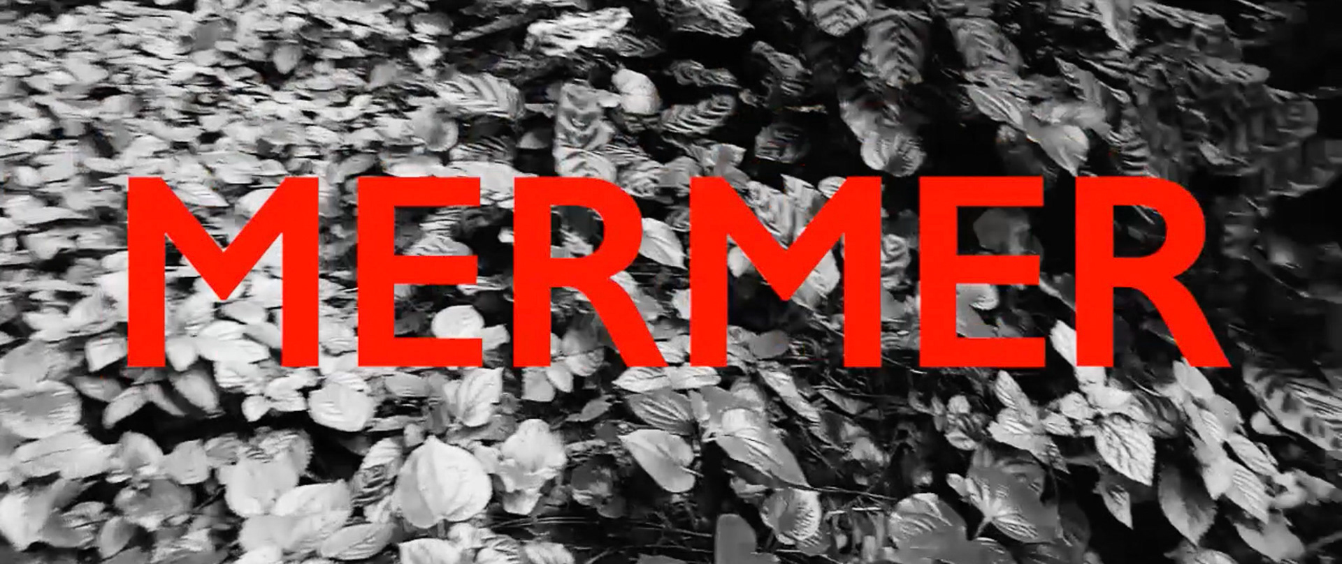 A short film created by the students at the end of the workshop
