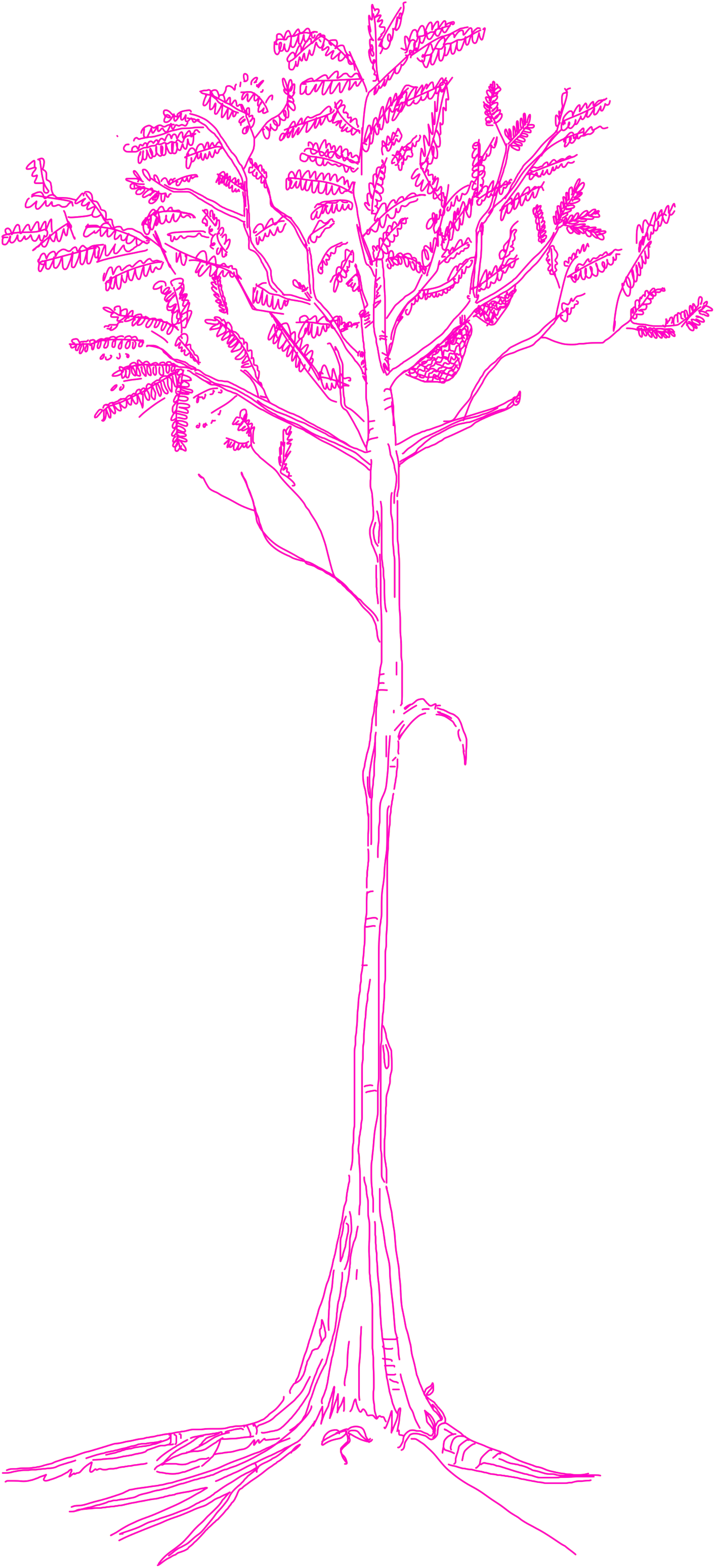 Pink illustration of Tualang Tree, created by Studio 1914