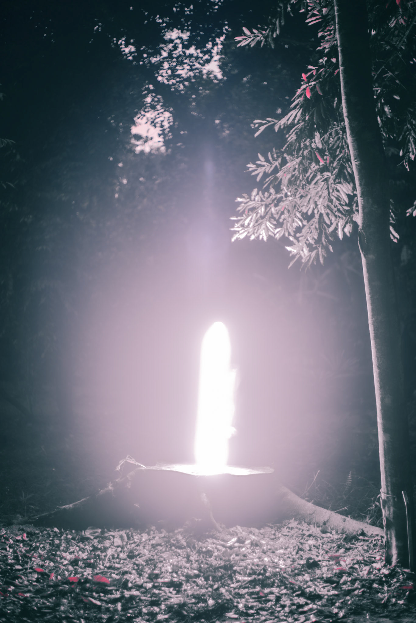 LIGHT EXPERIMENTS AT RIMBUN DAHAN