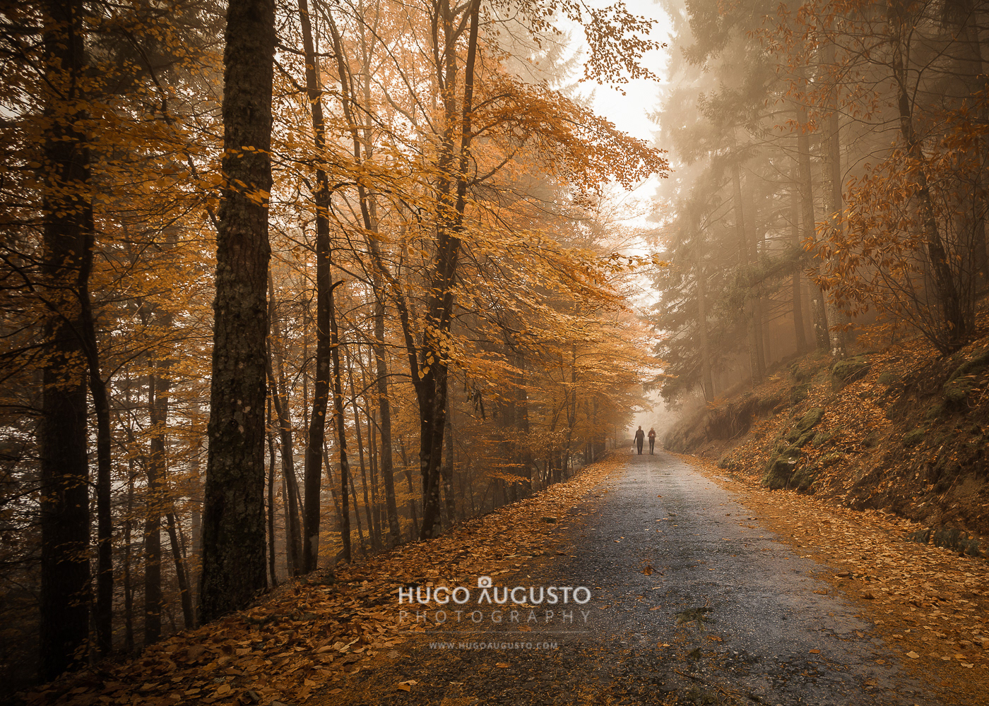 Serra da Estrela Natural Park