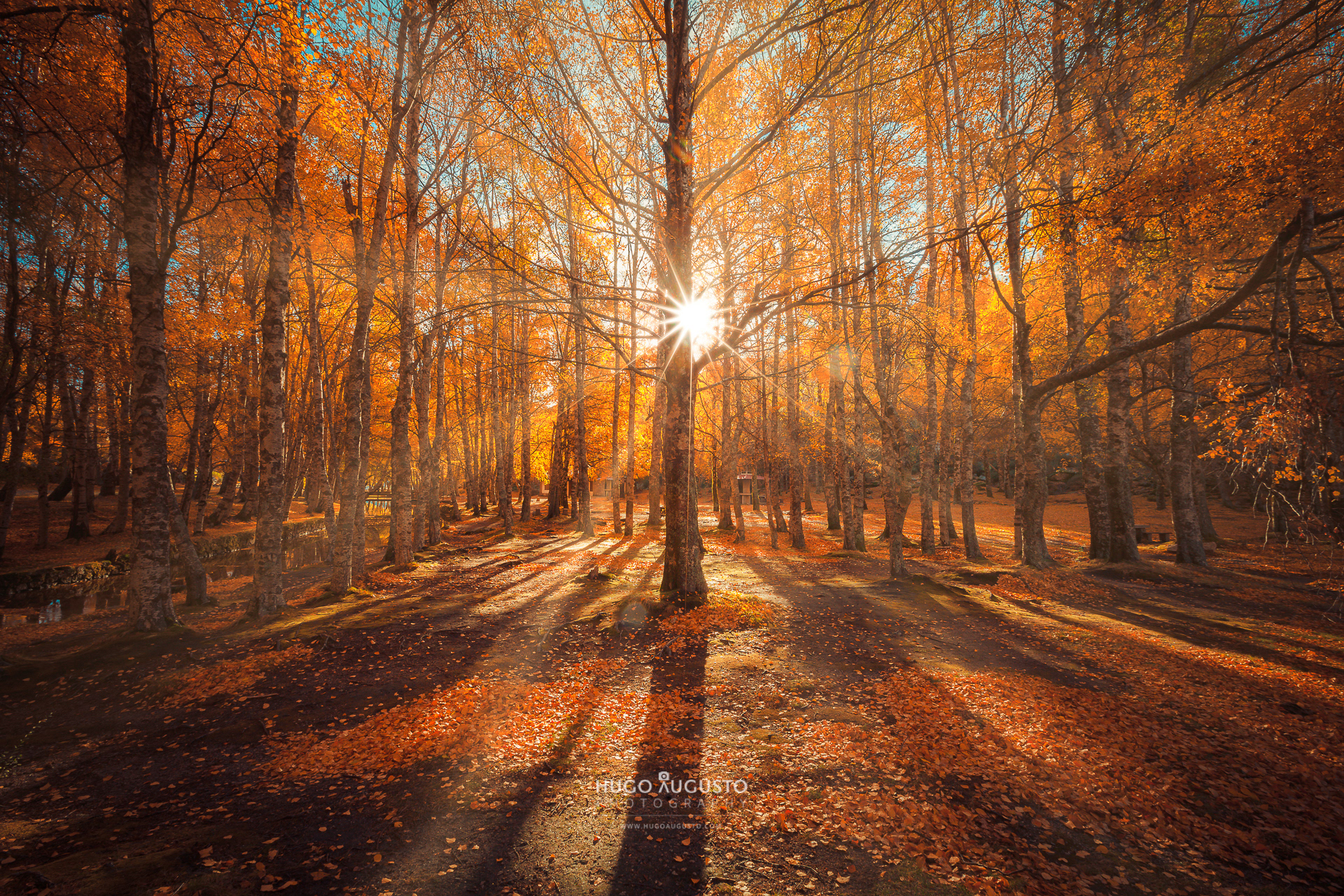 Serra da Estrela Natural Park