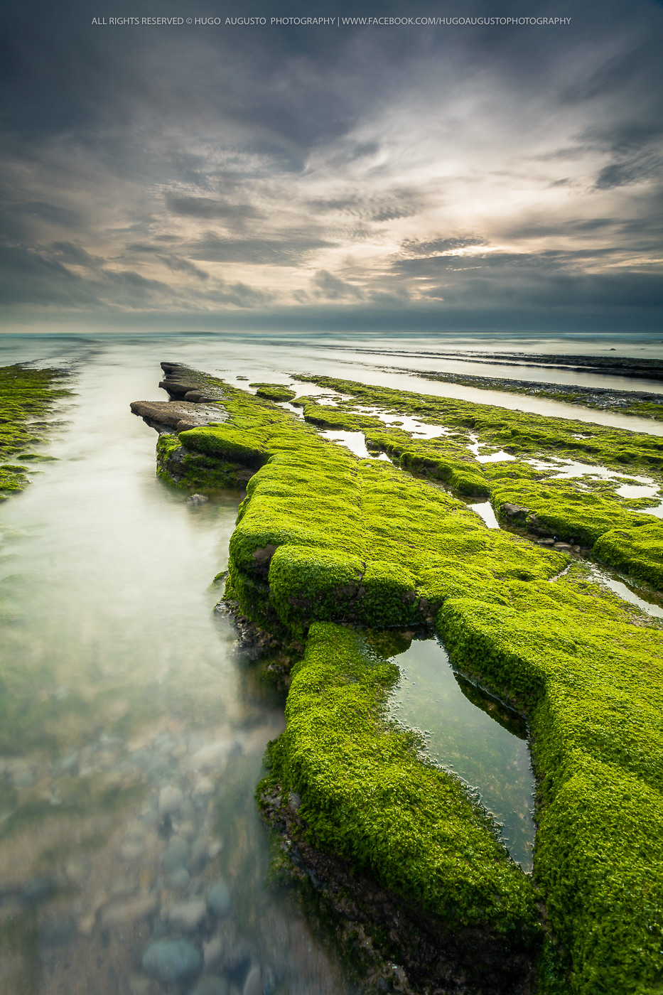 "Wearing Green Again" / Magoito, Portugal