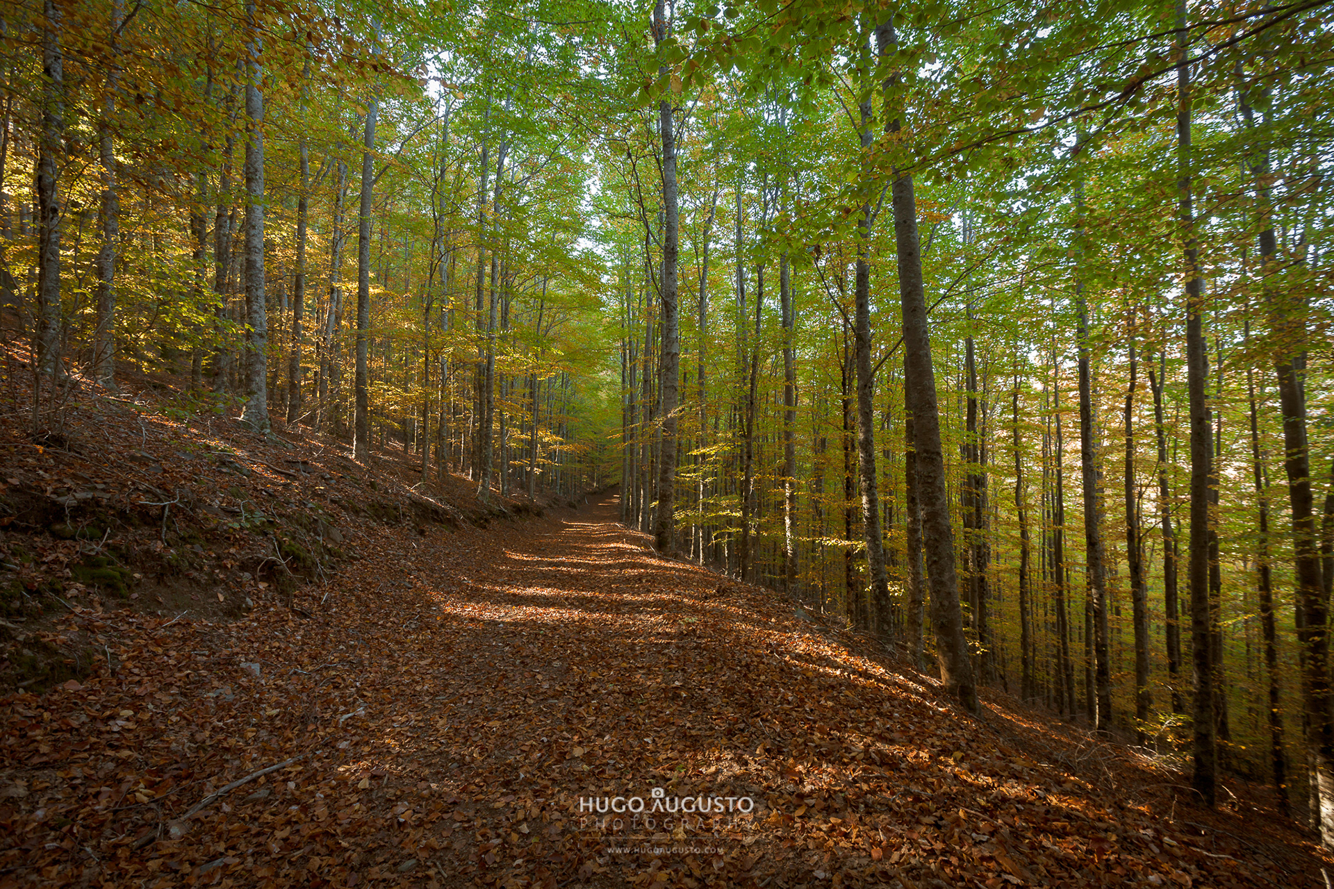 Serra da Estrela Natural Park