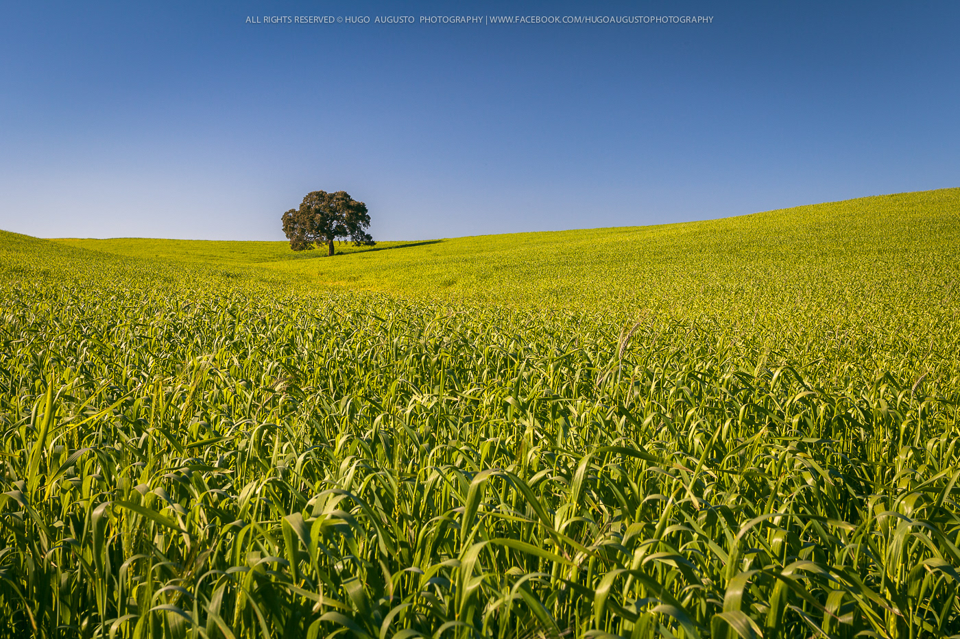 Alentejo, Portugal