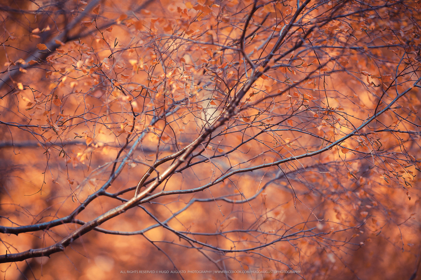 Serra da Estrela Natural Park