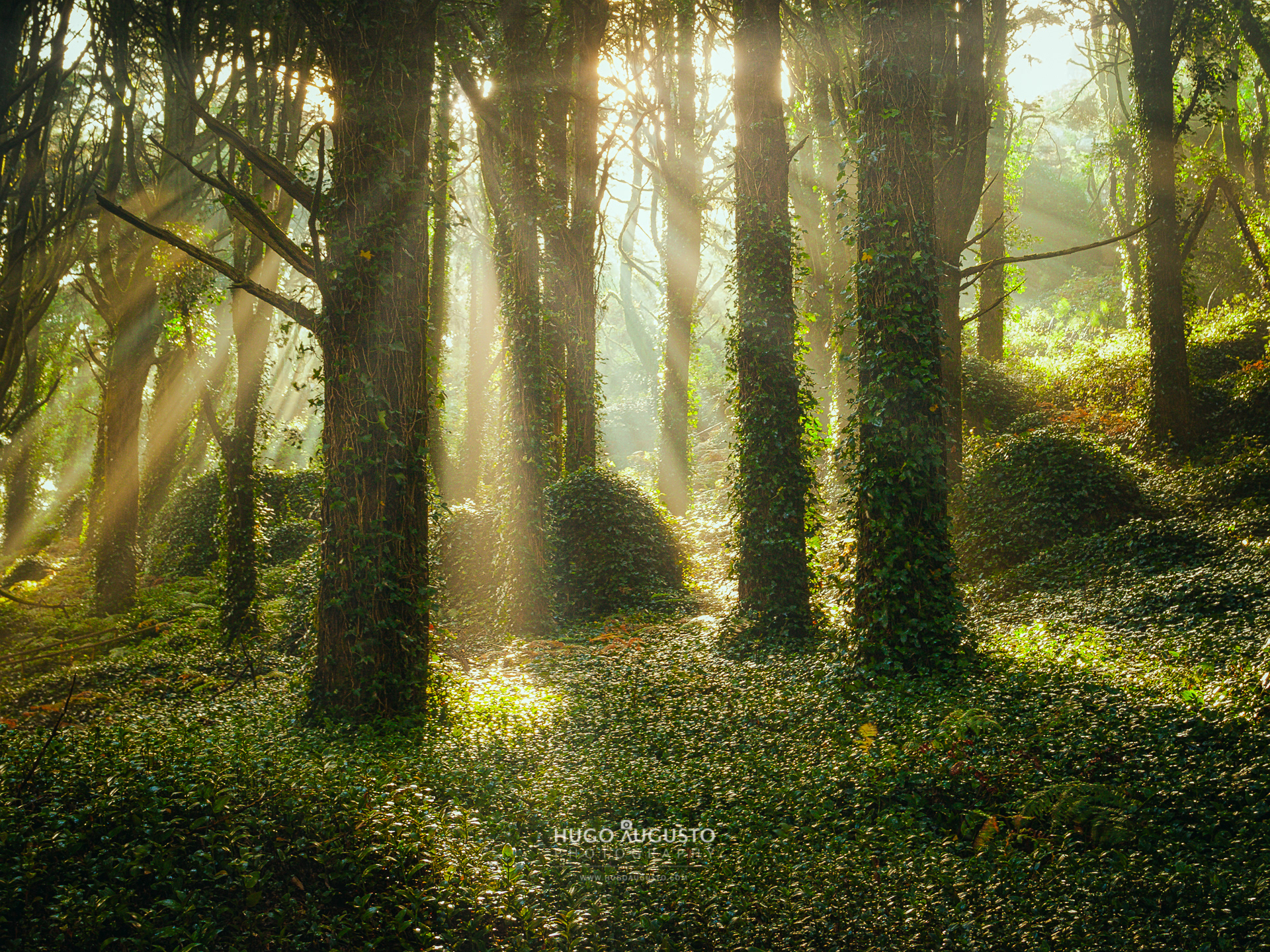 Sintra-Cascais Natural Park Tour