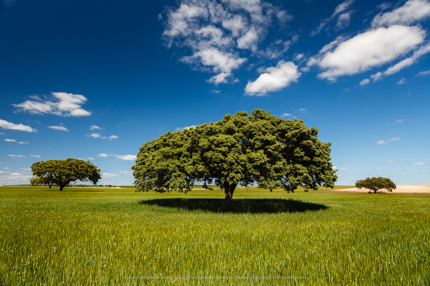 Alentejo, Portugal