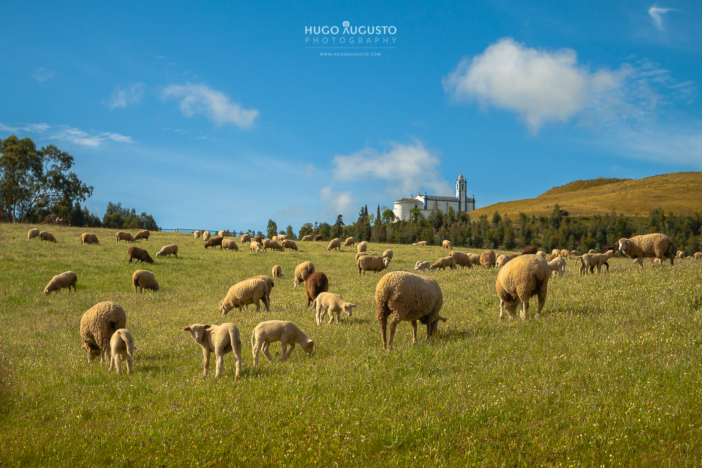 Alentejo, Portugal