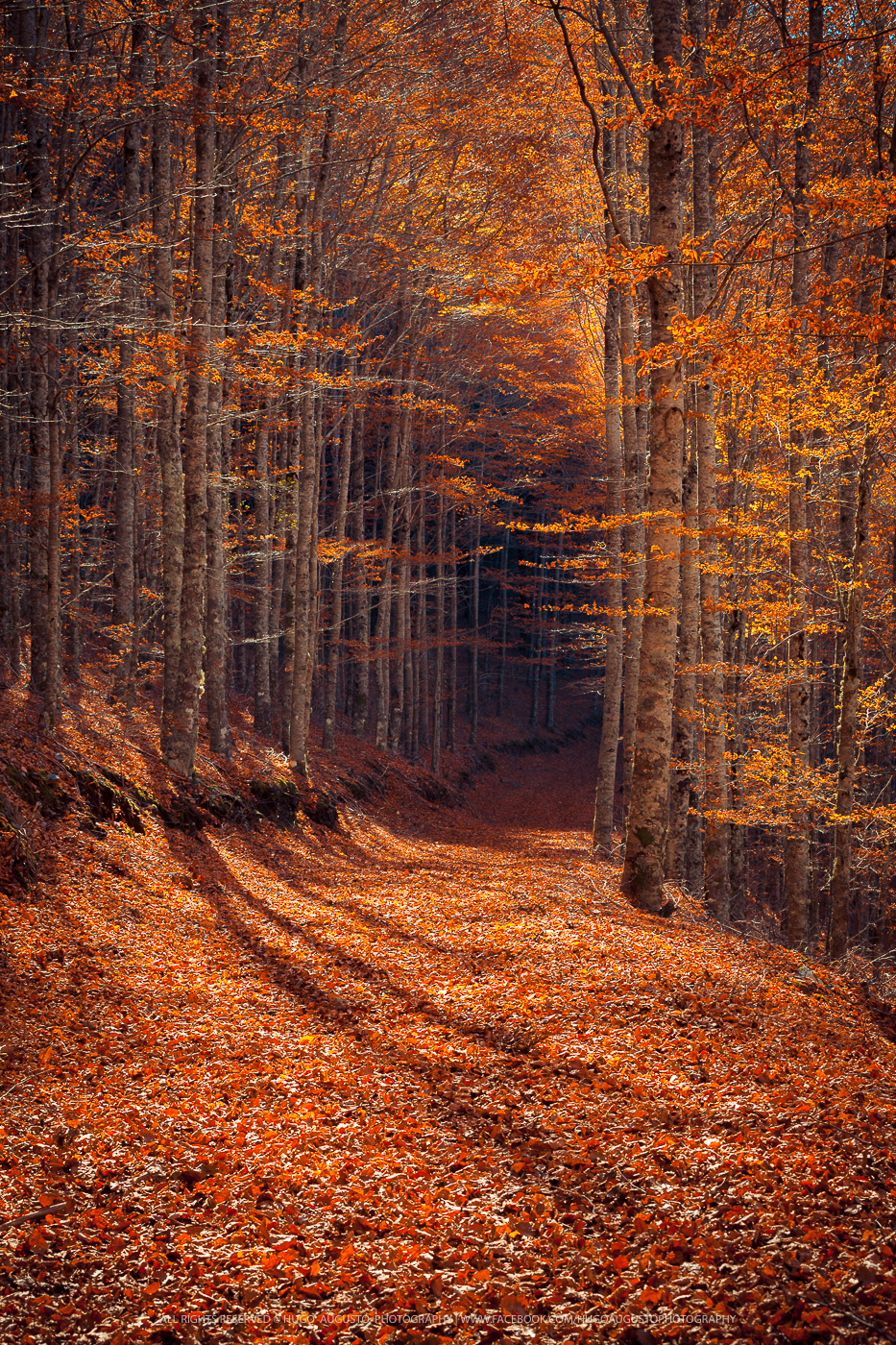 "Shadows of Tomorrow" / Serra da Estrela Natural Park
