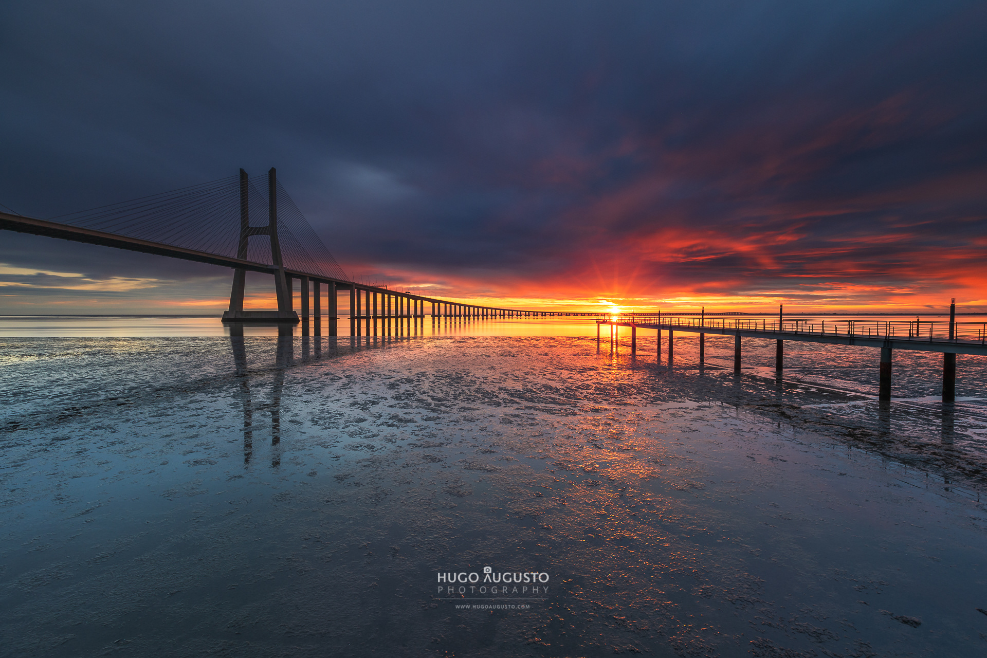 "A Star is Born" / Vasco da Gama Bridge, Portugal