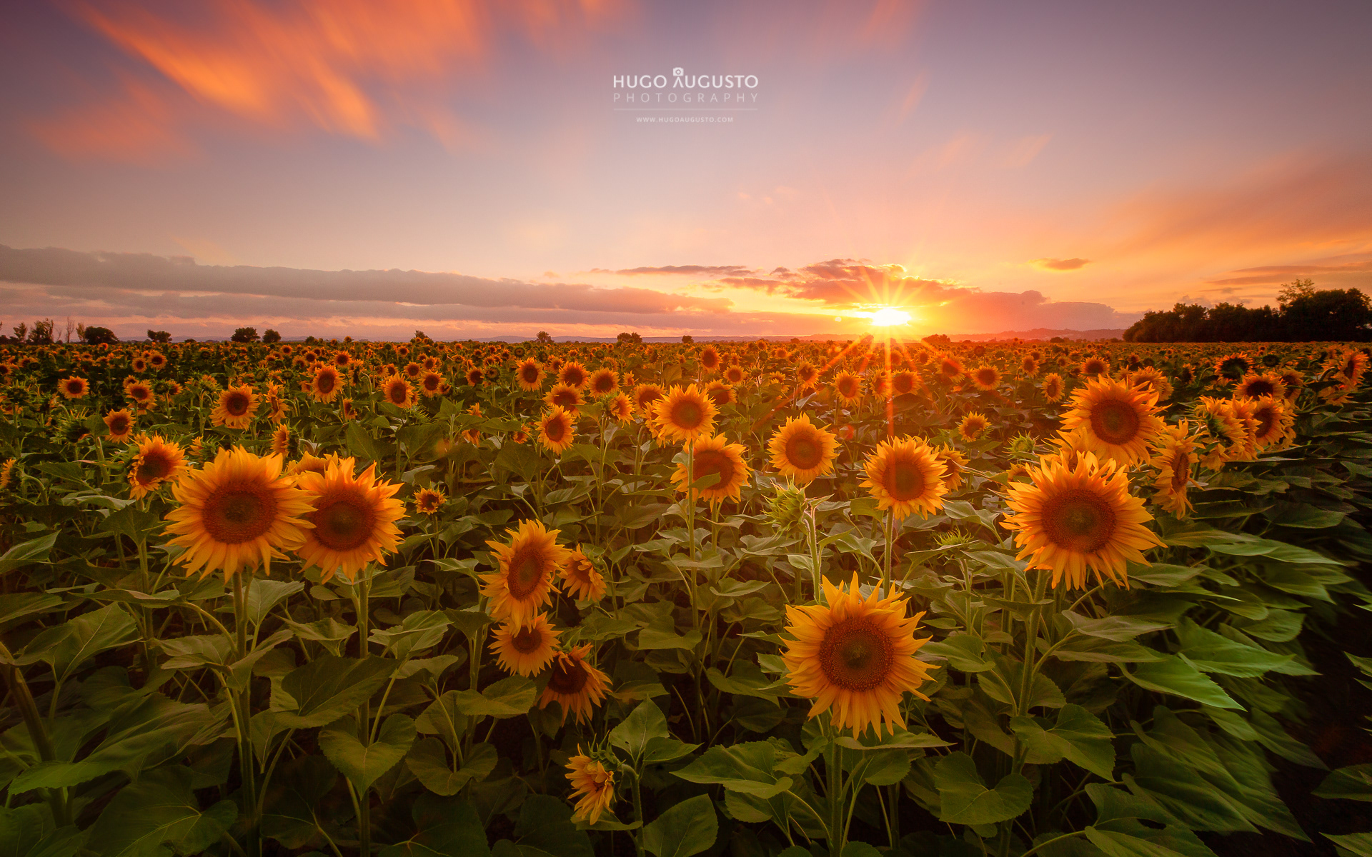 "Seeking Light" / Alentejo, Portugal