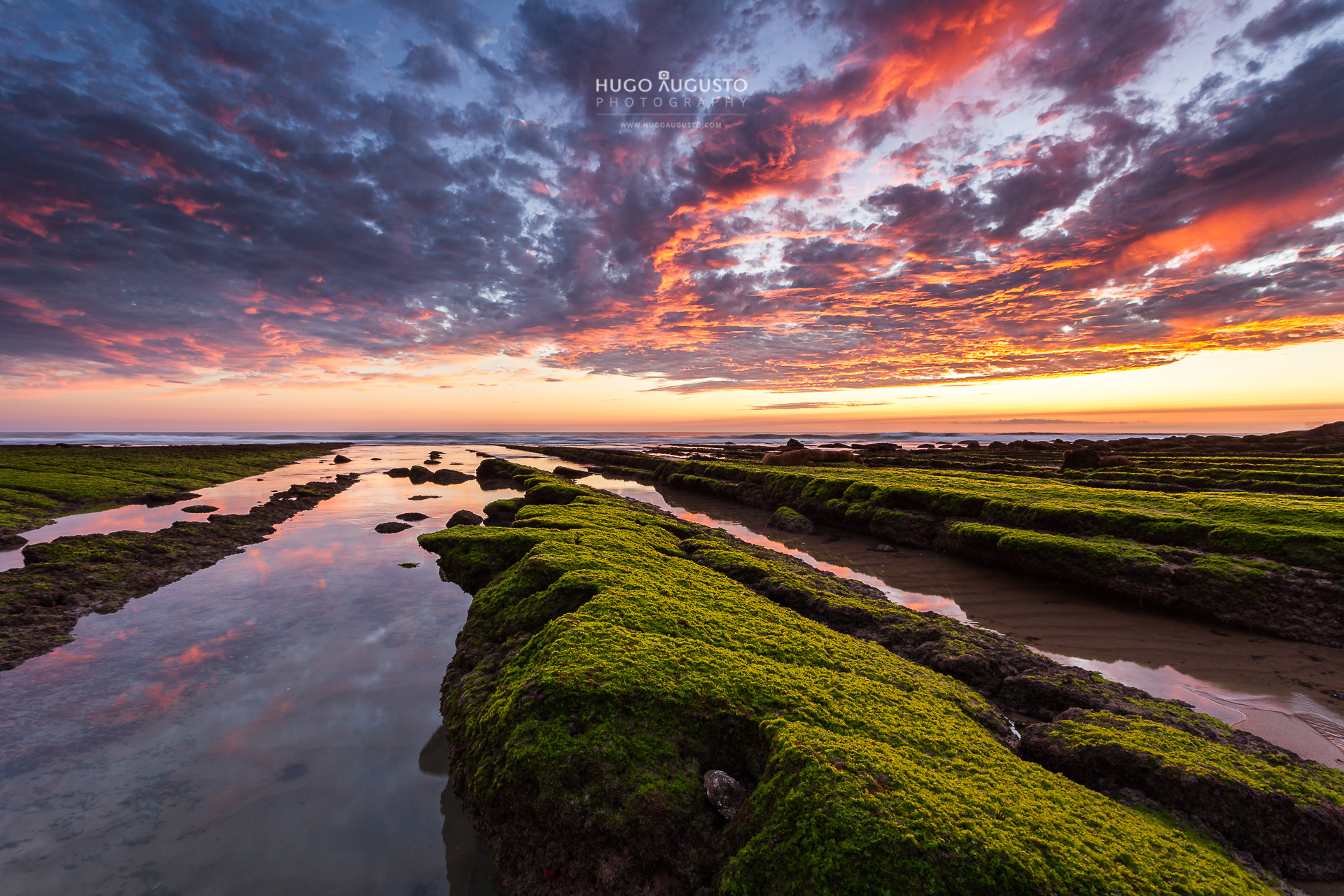 "Fire, Earth, Water" / Magoito, Portugal