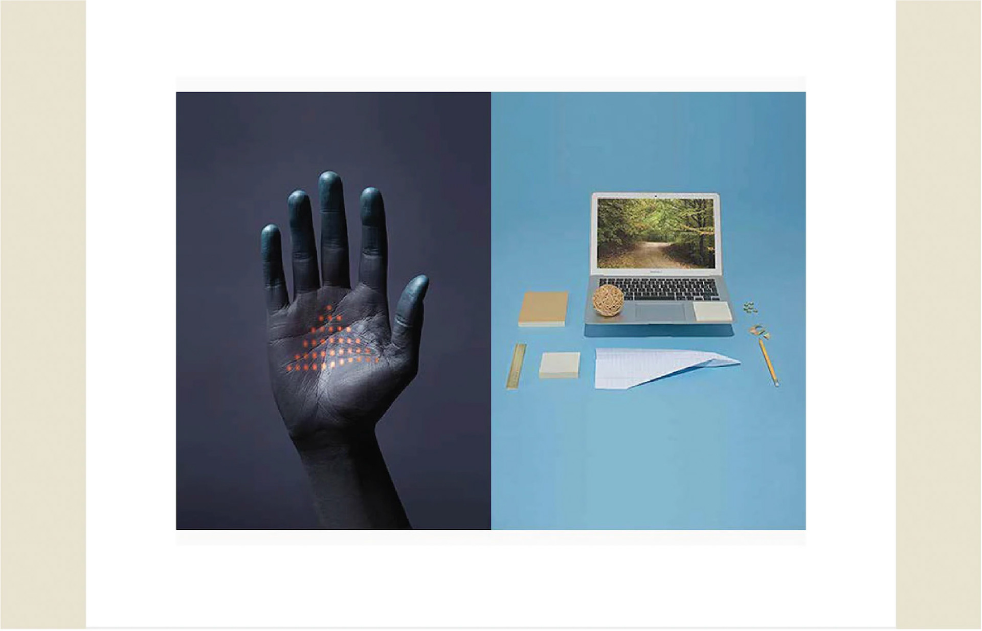 Macro trend reports - image and video